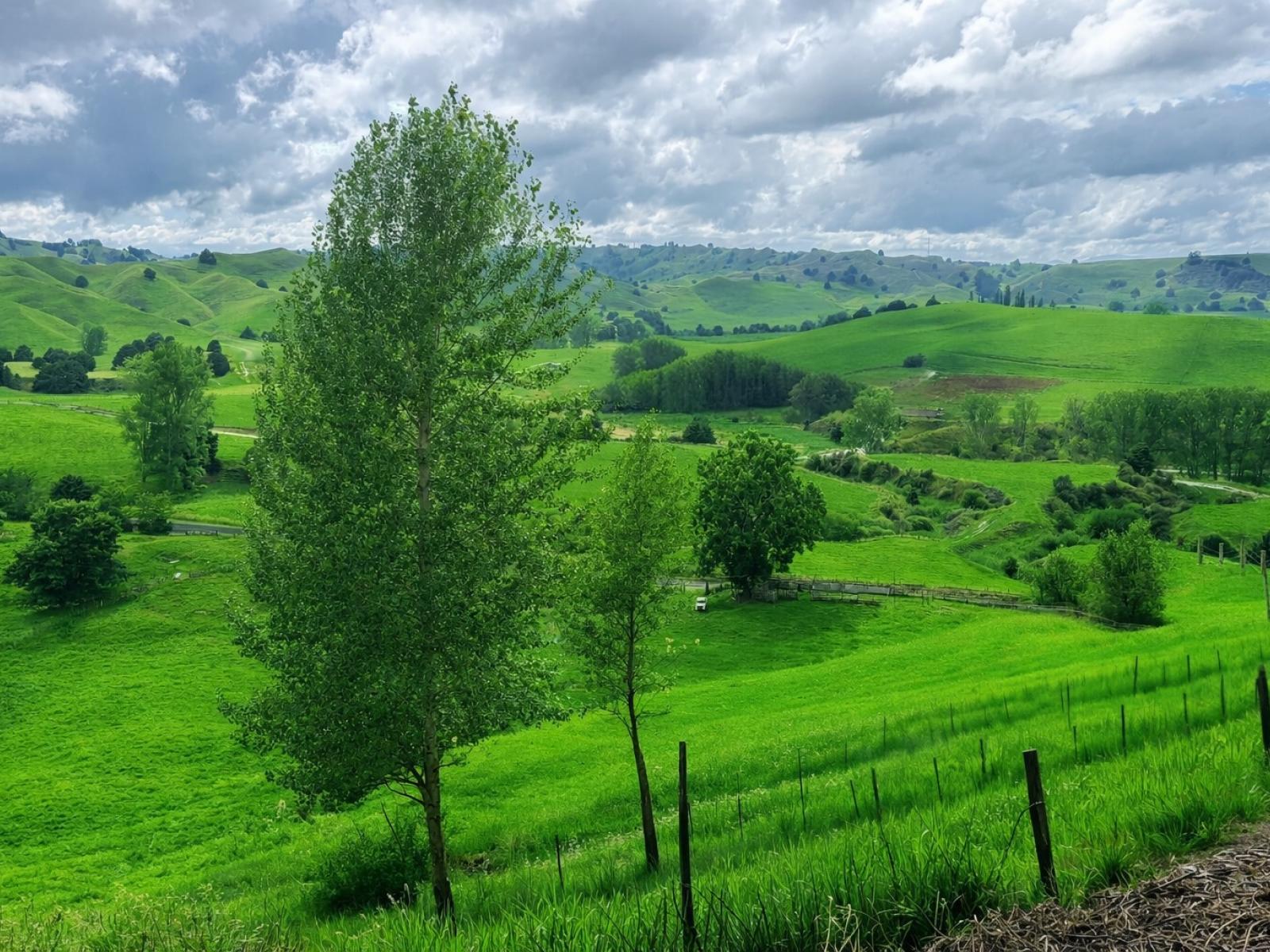 Hikumutu Road, Taumarunui