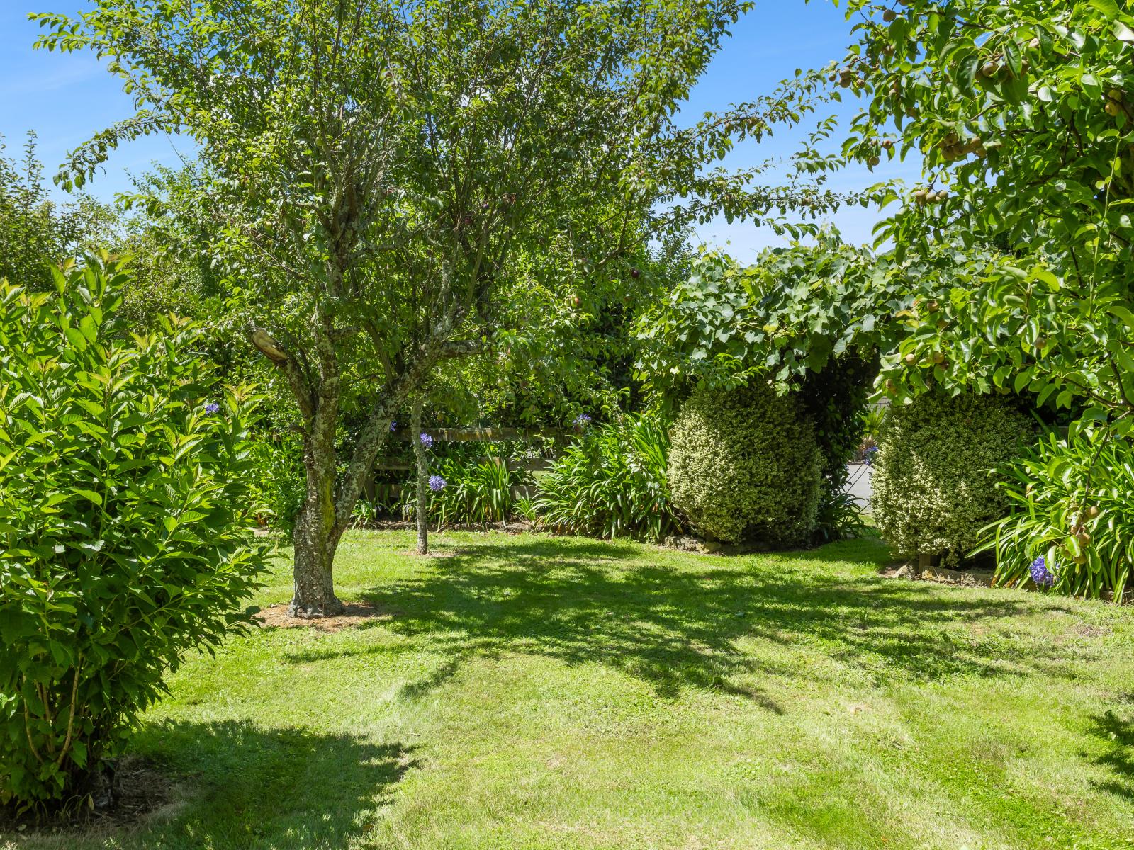 621F Marychurch Road, Matangi