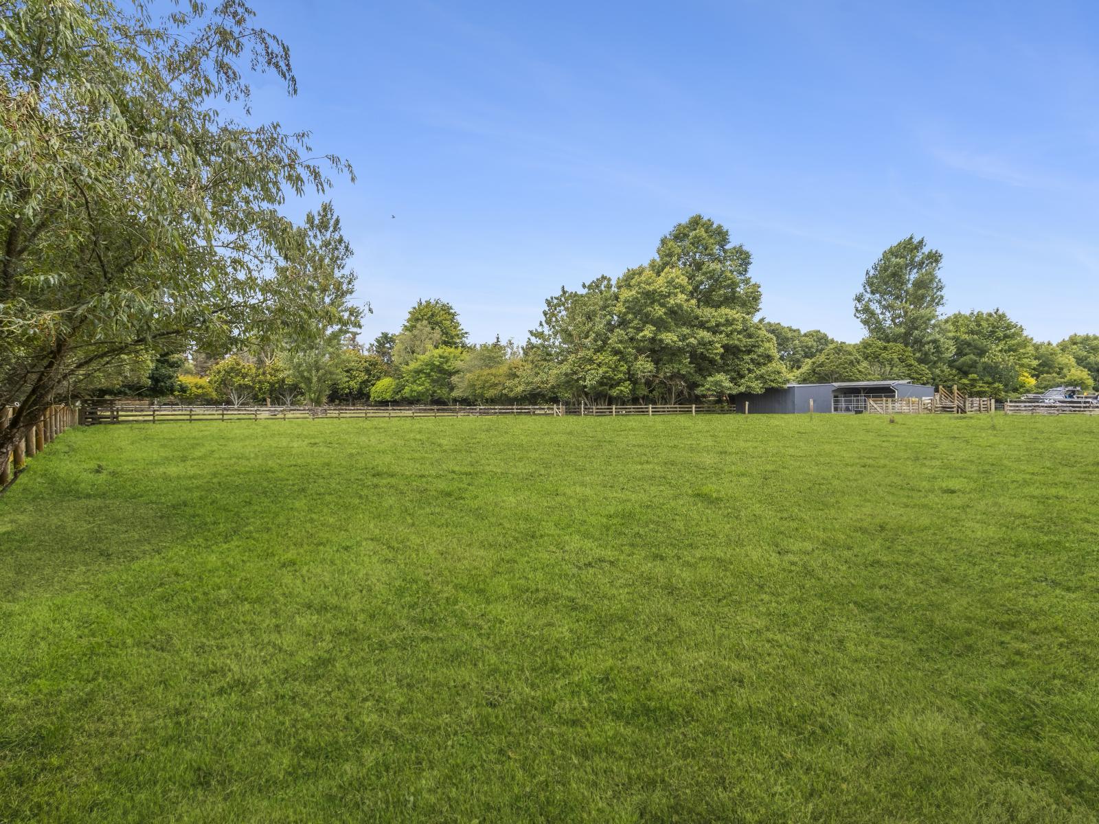 300a Bellevue Road, Matangi