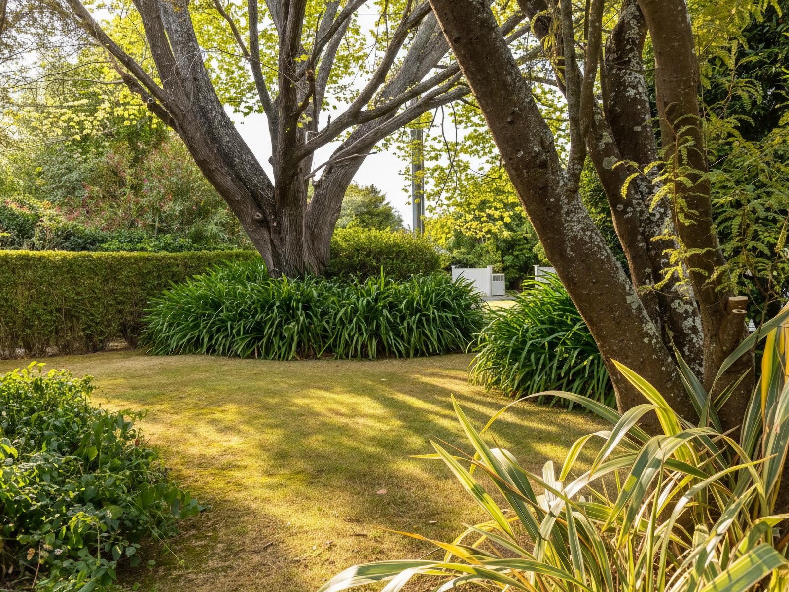 8 Terrace End, Masterton