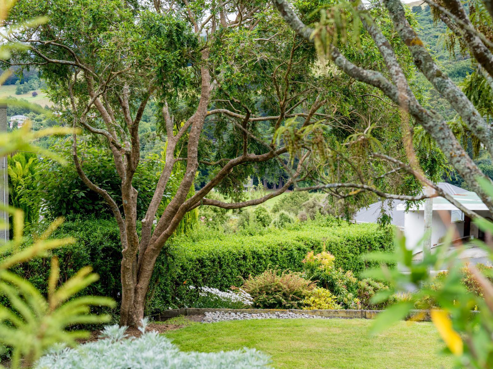 124 Rolla Street, Normanby