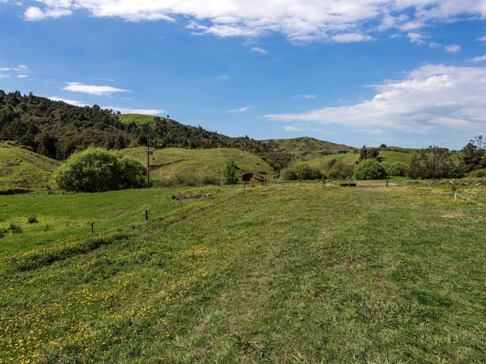 2338 State Highway 2, Opotiki