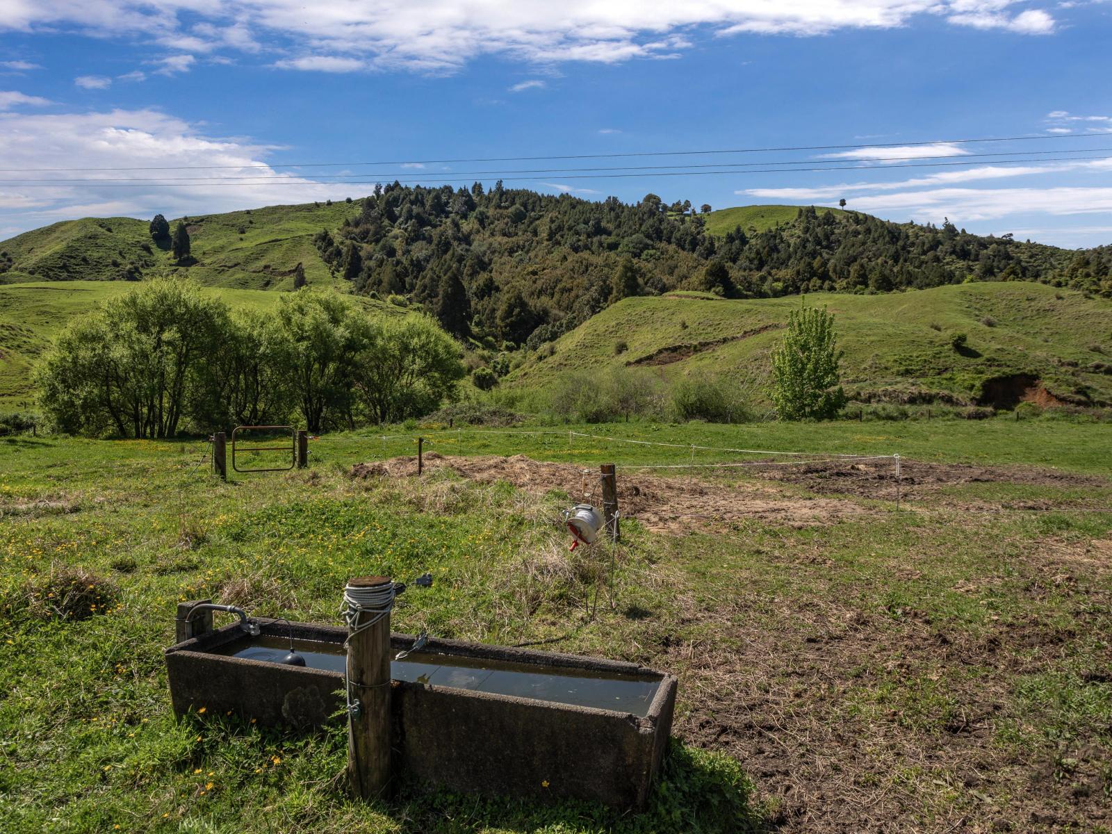 2338 State Highway 2, Opotiki