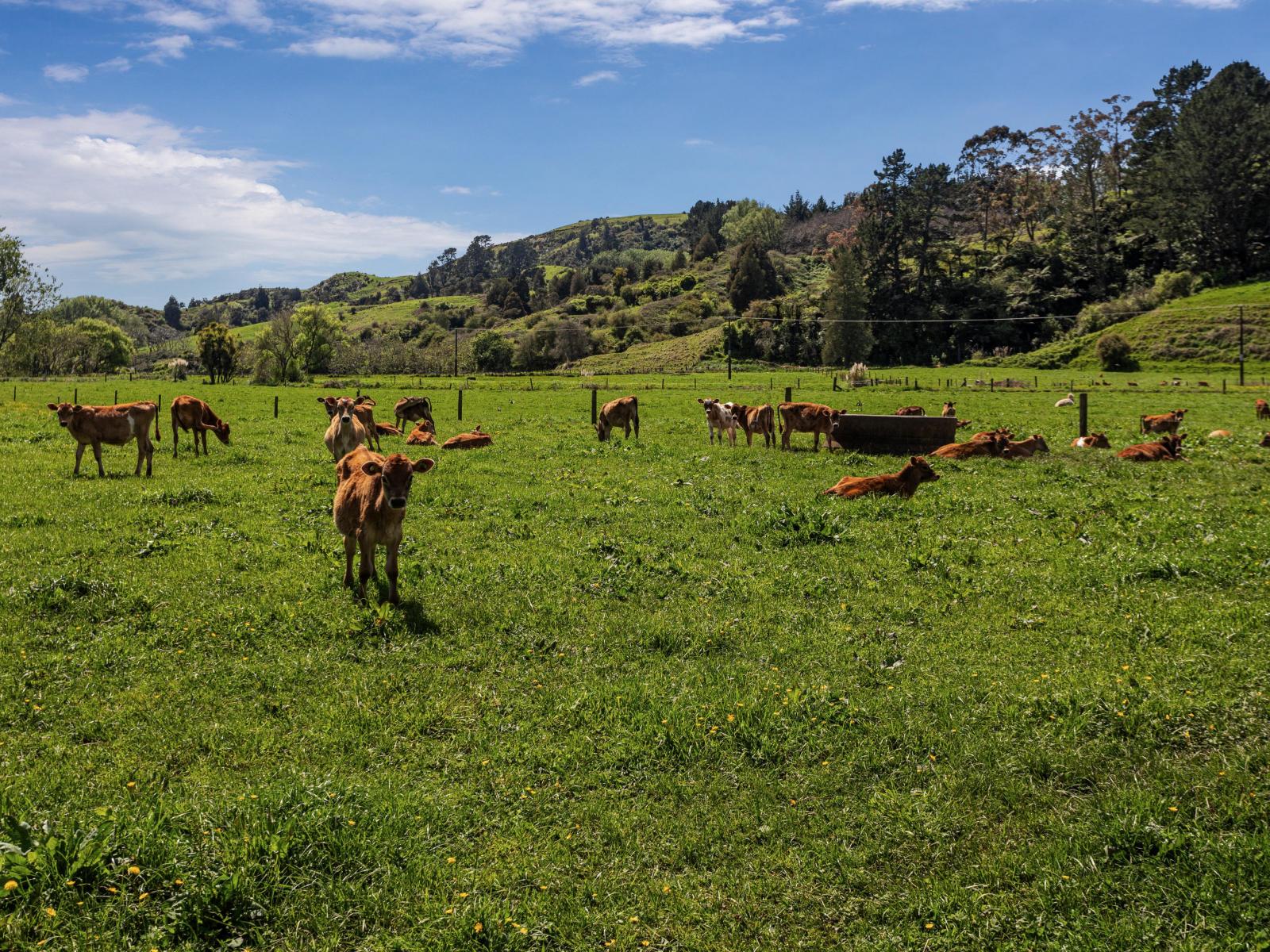 2338 State Highway 2, Opotiki