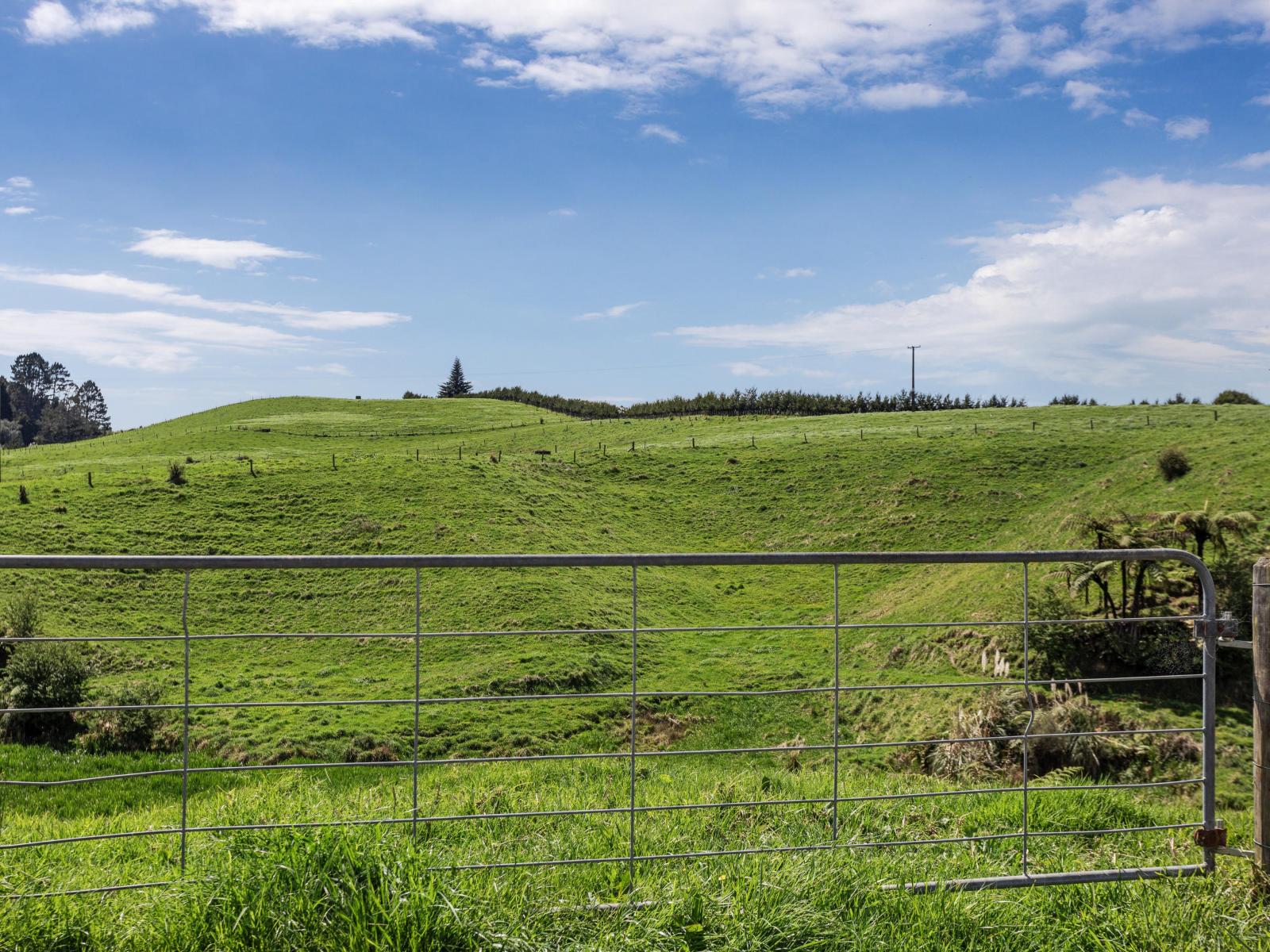 2338 State Highway 2, Opotiki