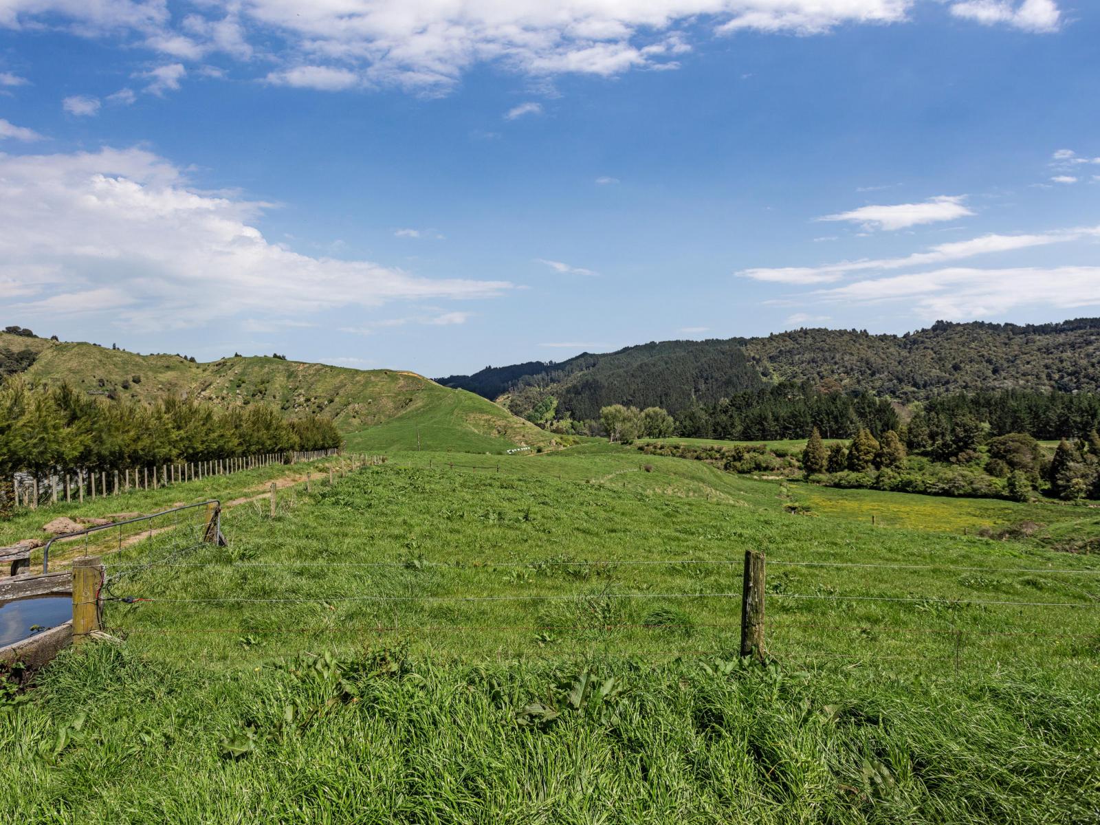 2338 State Highway 2, Opotiki