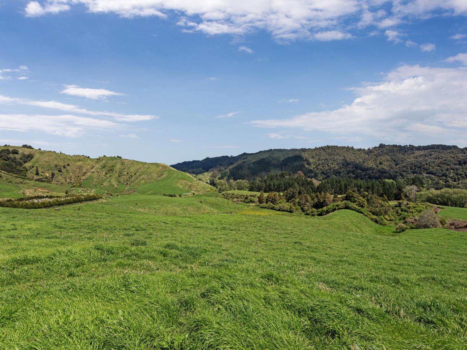 2338 State Highway 2, Opotiki