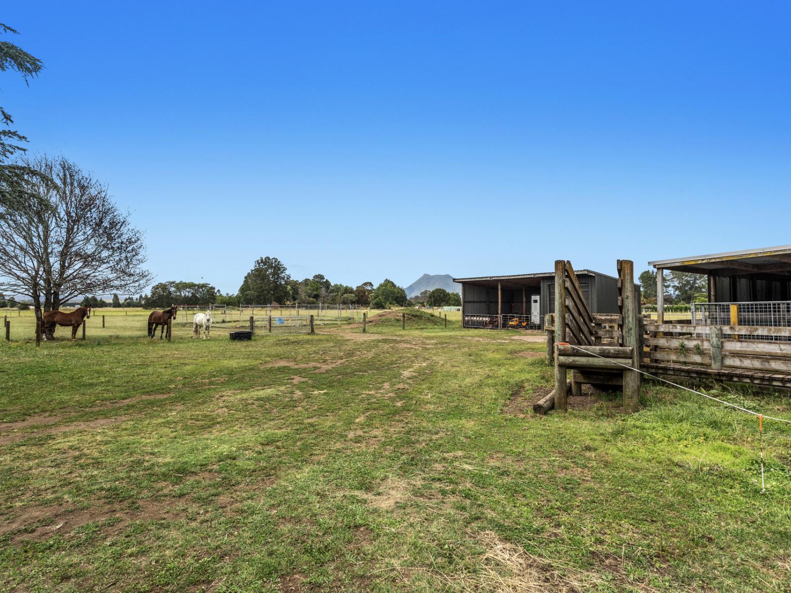 323B Hallett Road, Otakiri