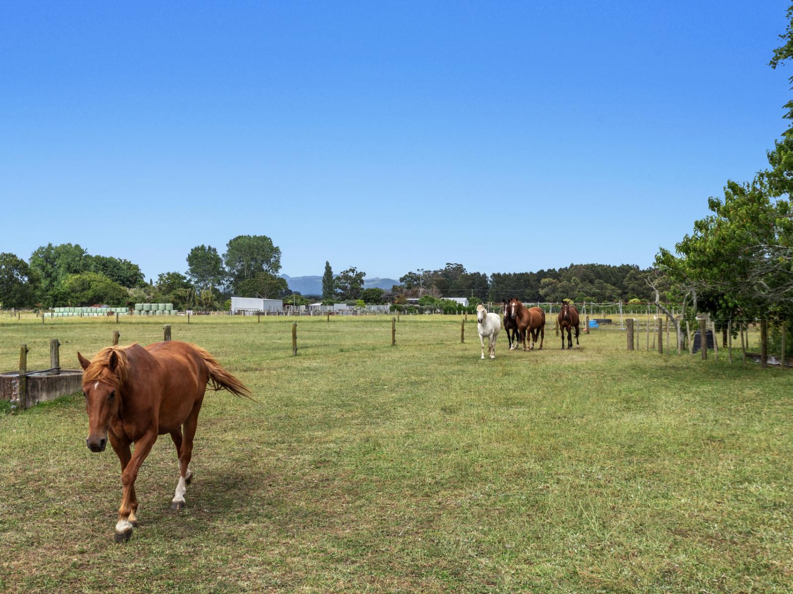 323B Hallett Road, Otakiri
