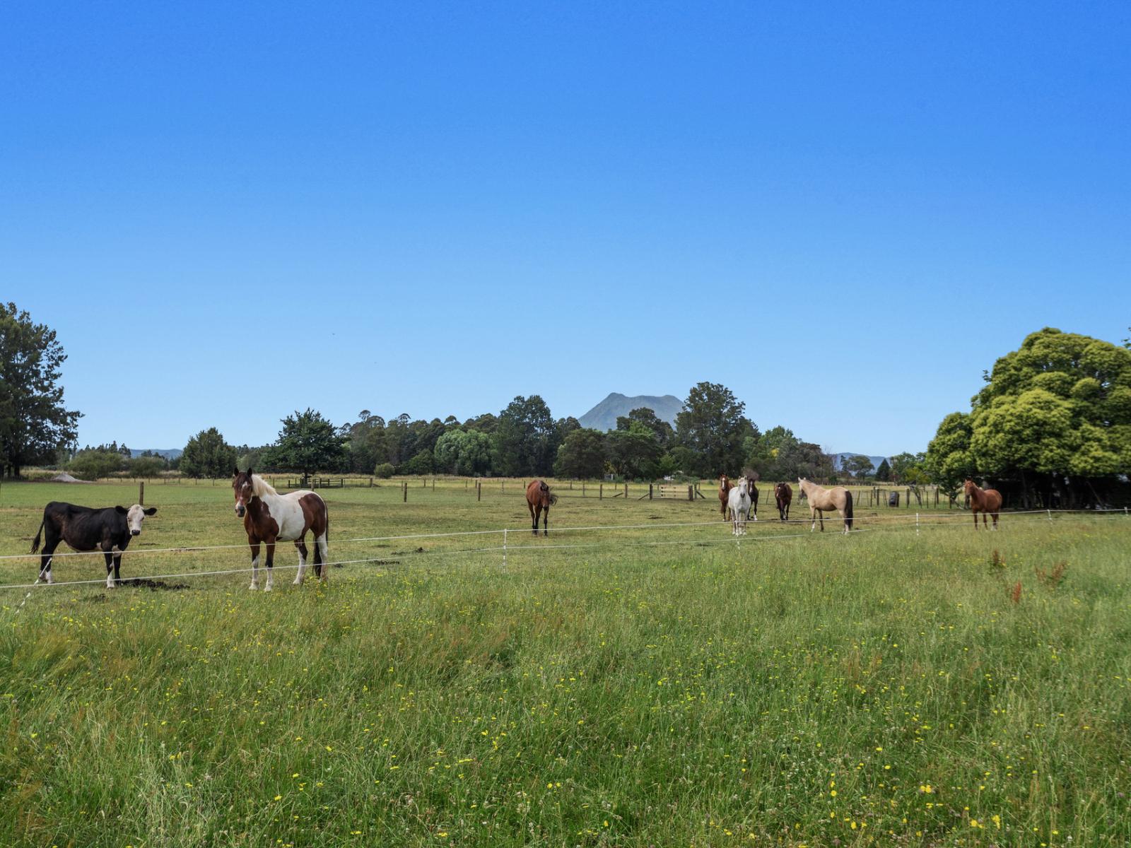 323B Hallett Road, Otakiri