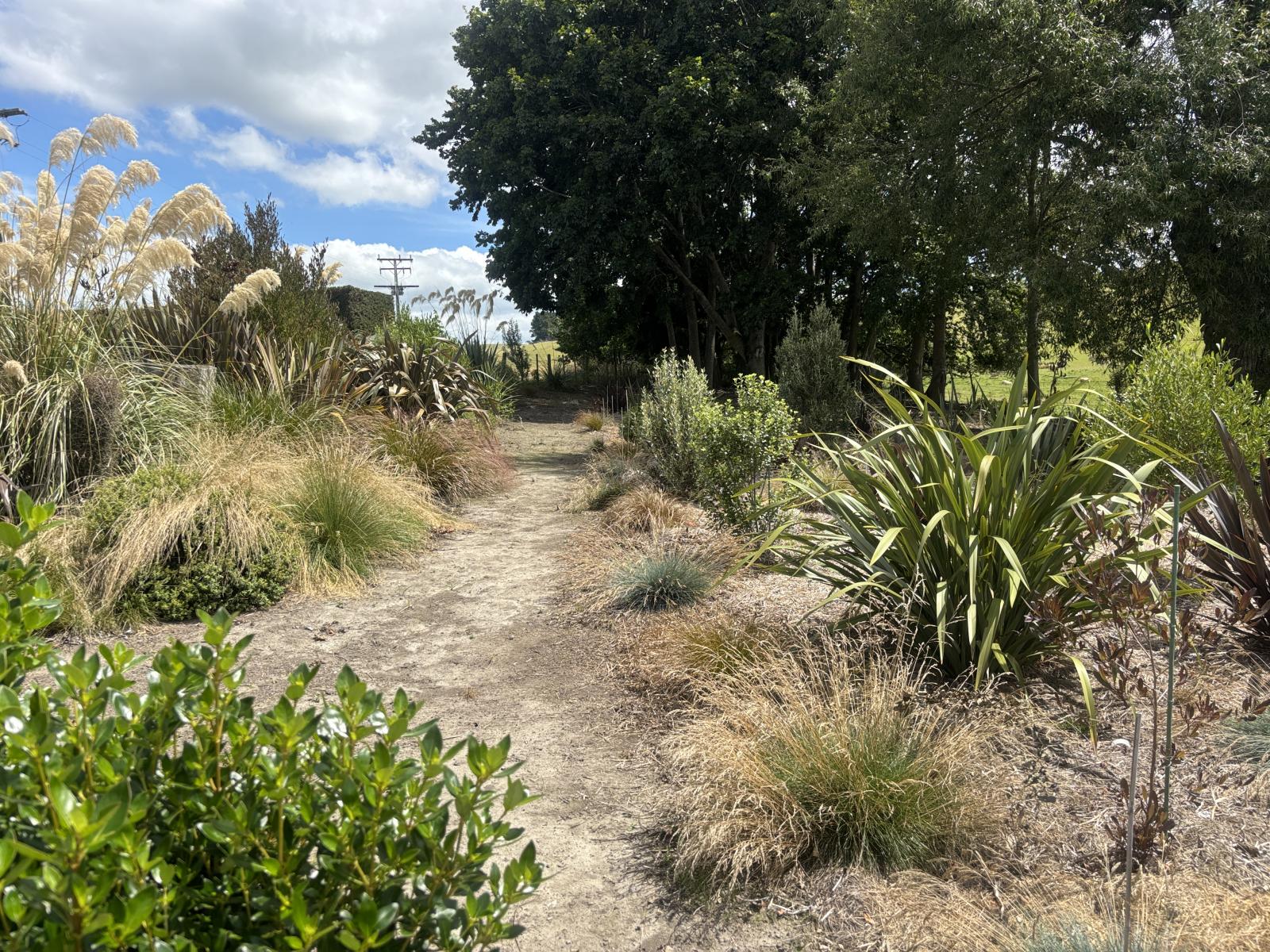 74 Clarkson Road, Pleasant Point