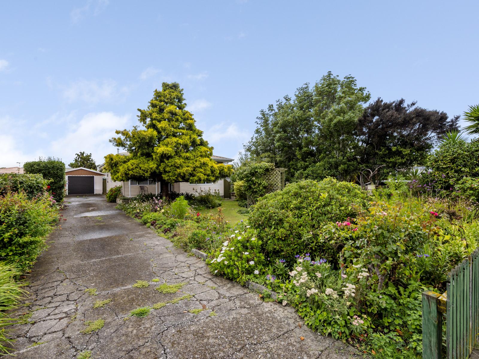 910 Lawrence Street, Akina