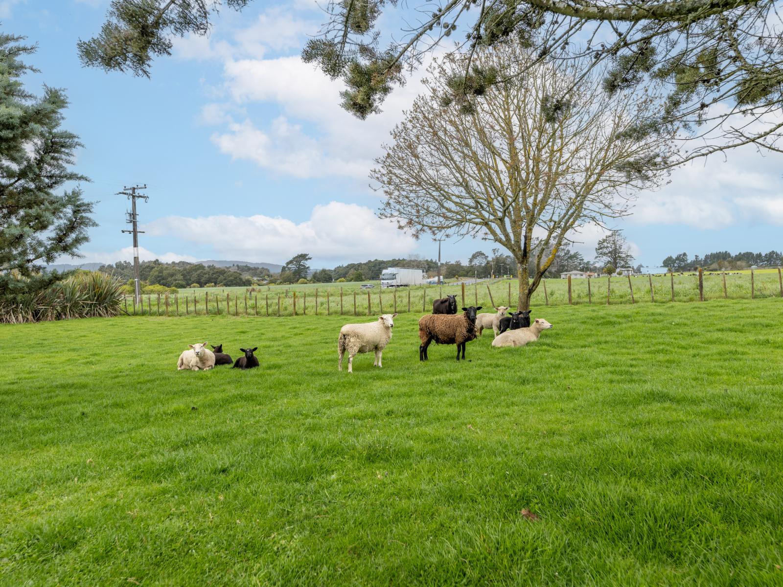 926 State Highway 5, Tapapa, Tirau