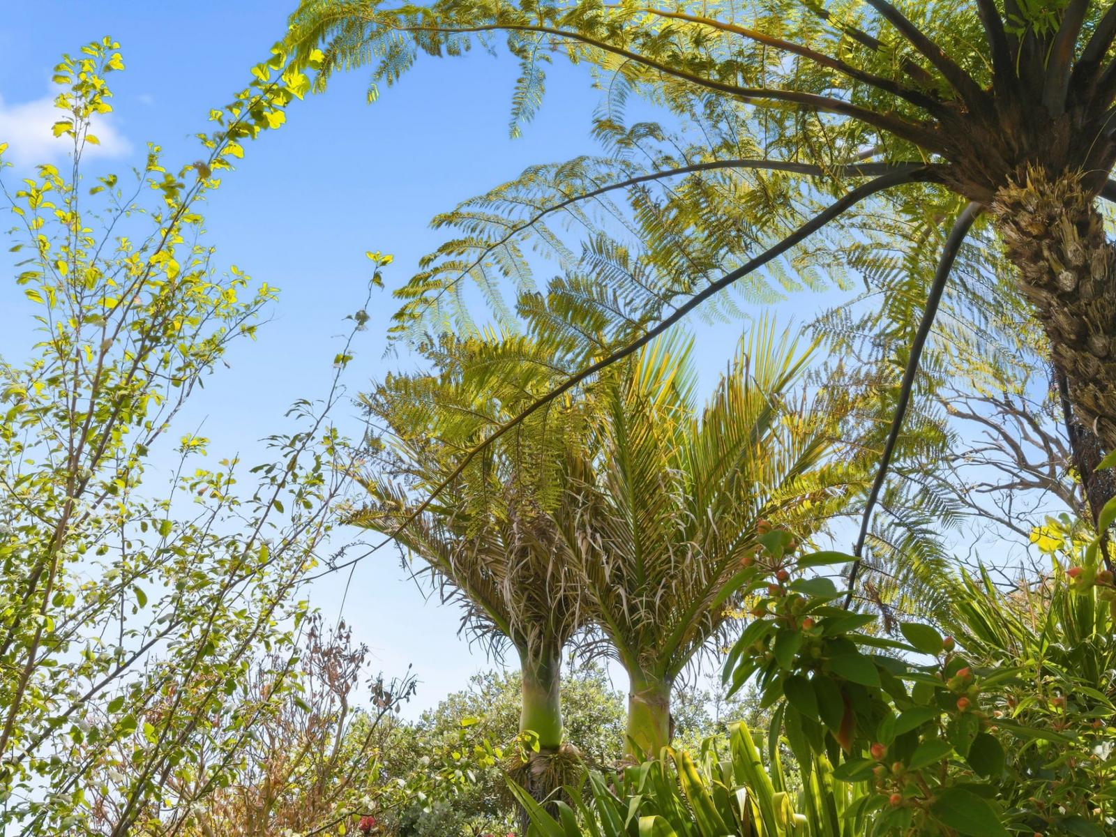 75 Liverpool Street, Levin