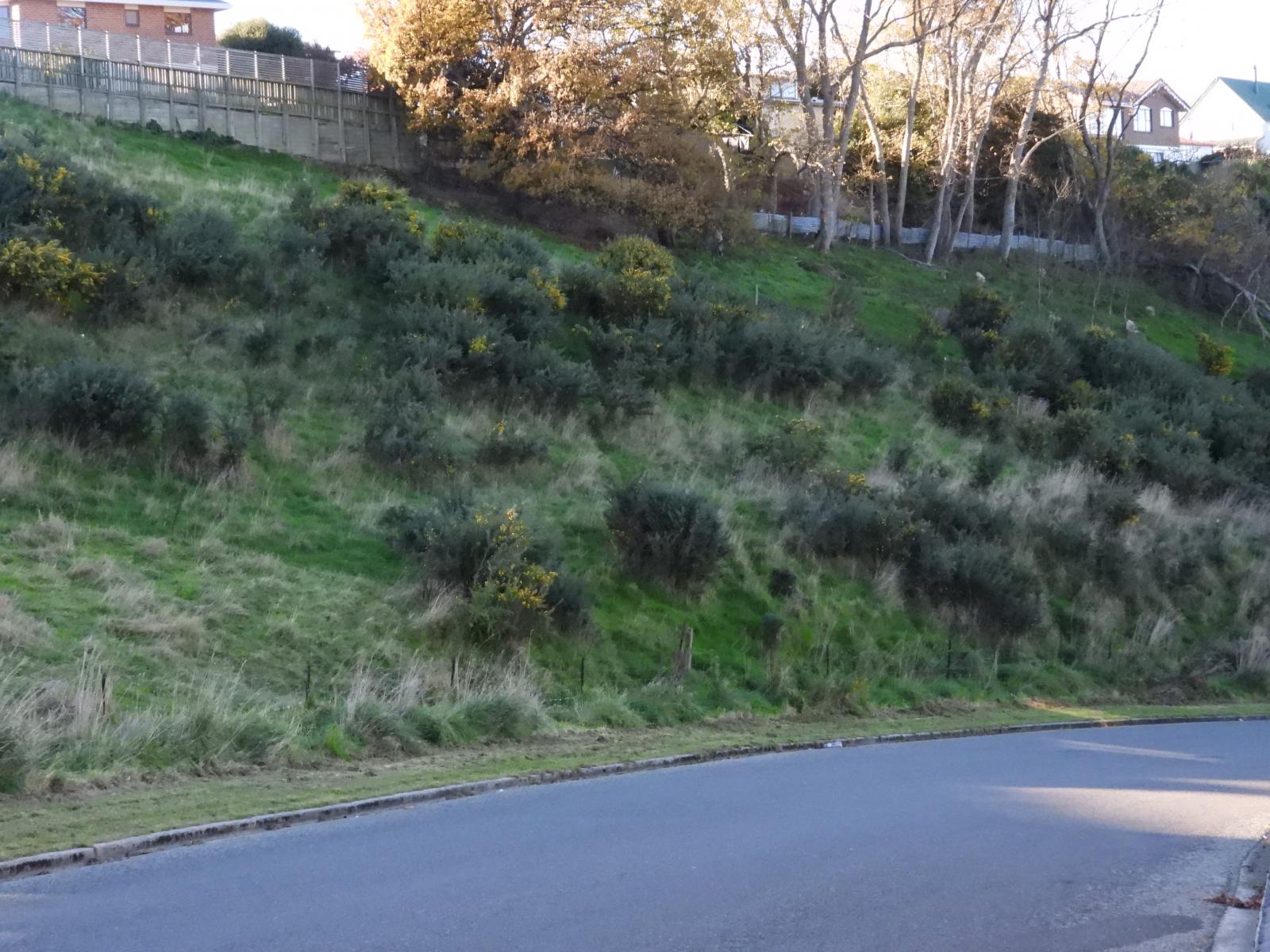 Lot 33, Ashburn Street, Oamaru