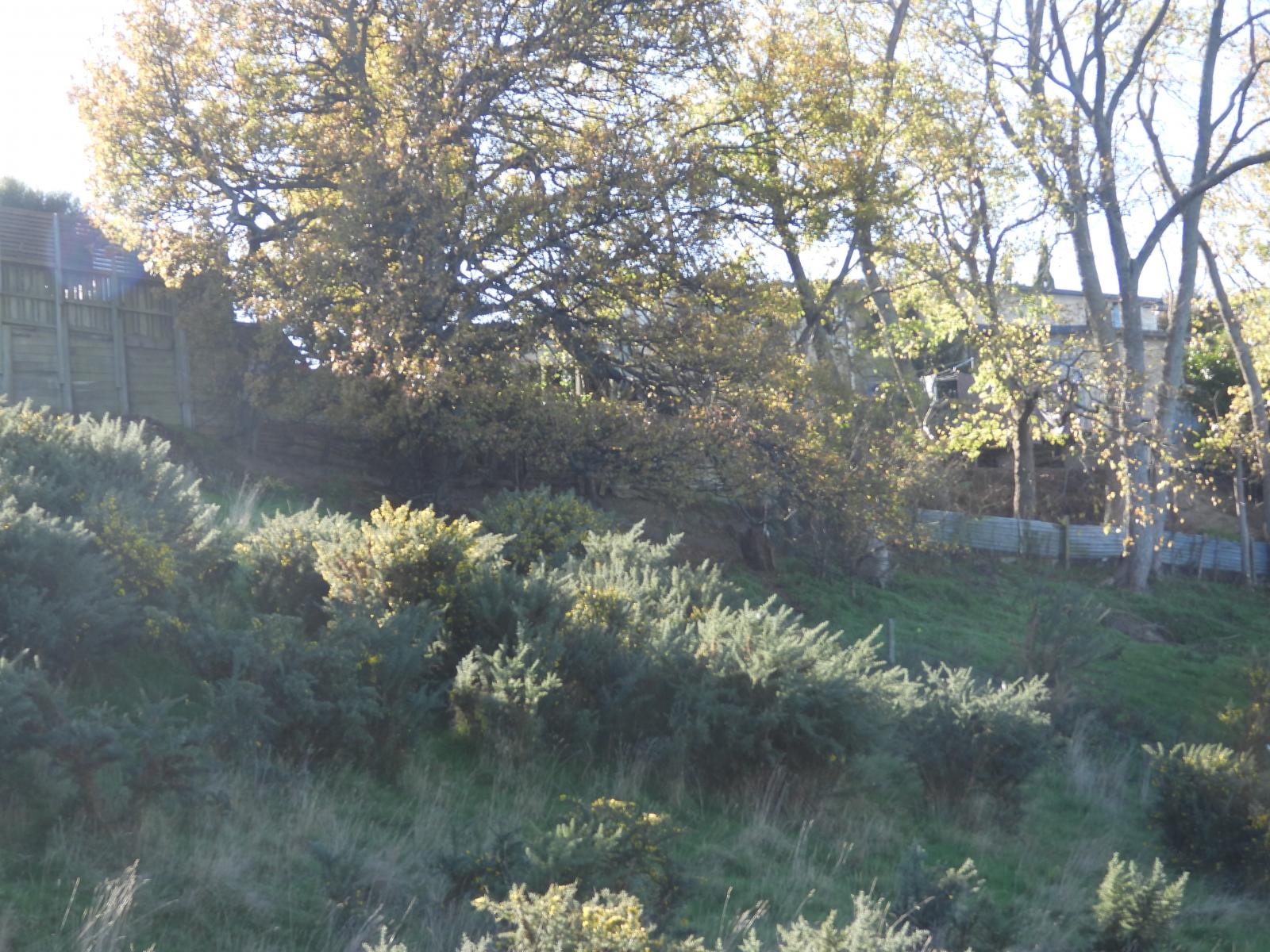 Lot 33, Ashburn Street, Oamaru