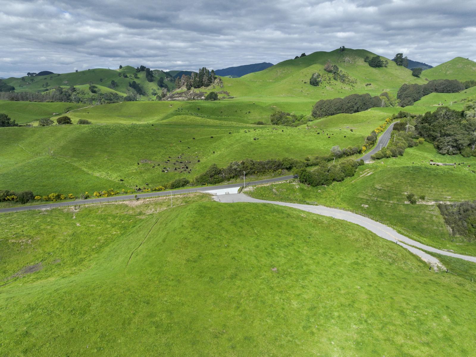 112A Puaiti Road, Waikite Valley