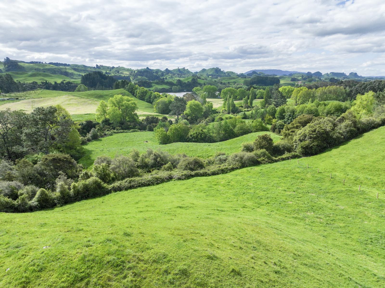 112A Puaiti Road, Waikite Valley