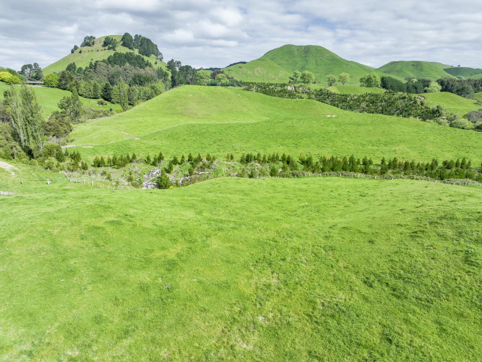 112A Puaiti Road, Waikite Valley