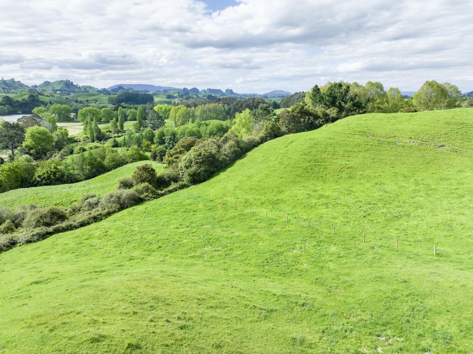 112B Puaiti Road, Waikite Valley
