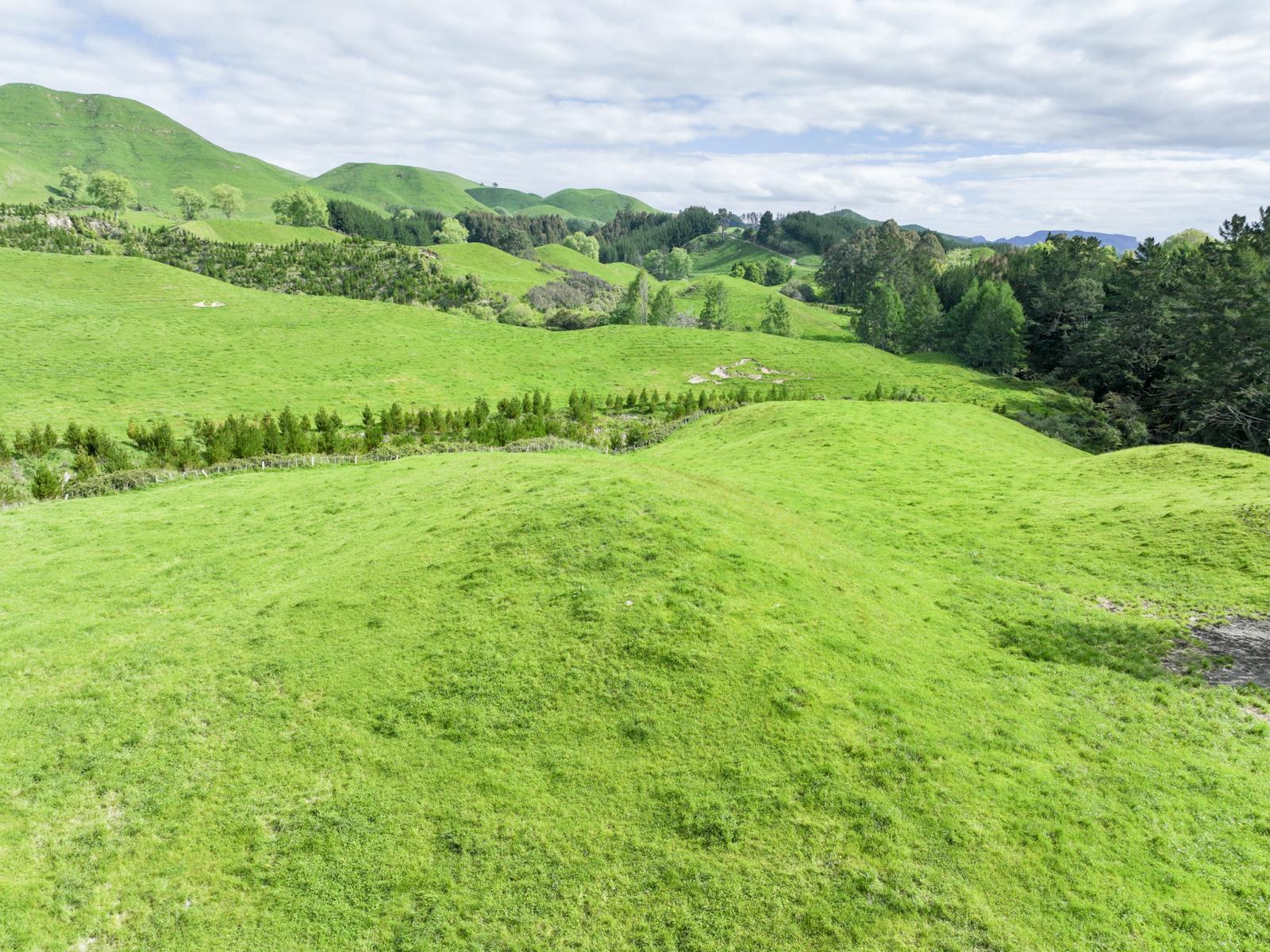 112B Puaiti Road, Waikite Valley