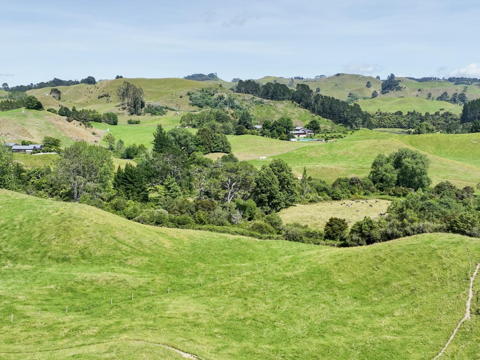 112B Puaiti Road, Waikite Valley