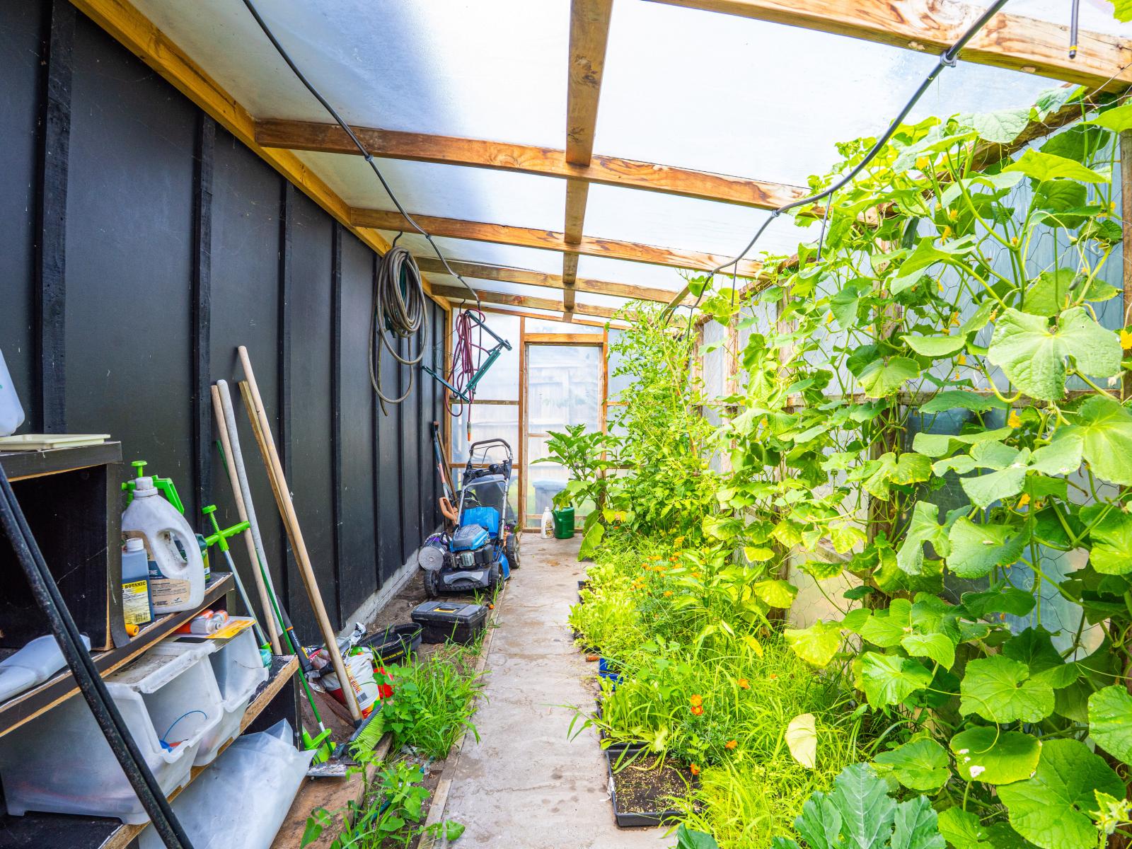 74A Gonville Avenue, Gonville