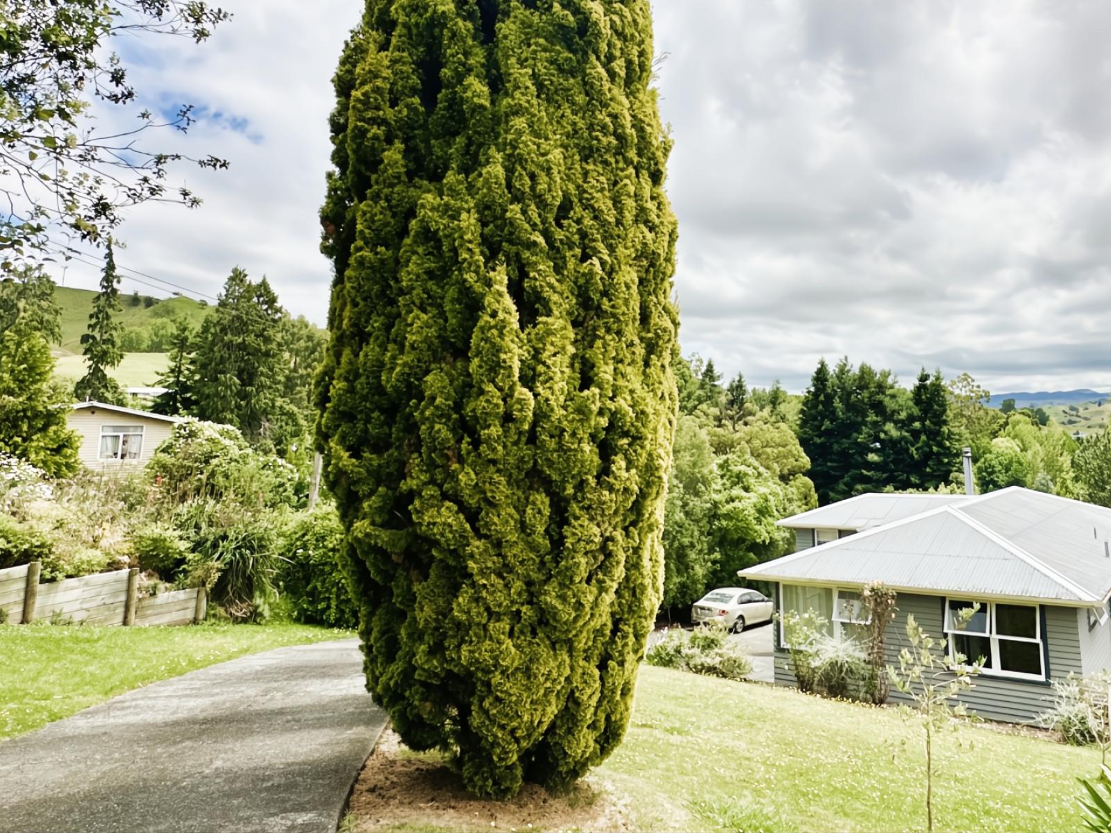 26 Swan Street, Taihape