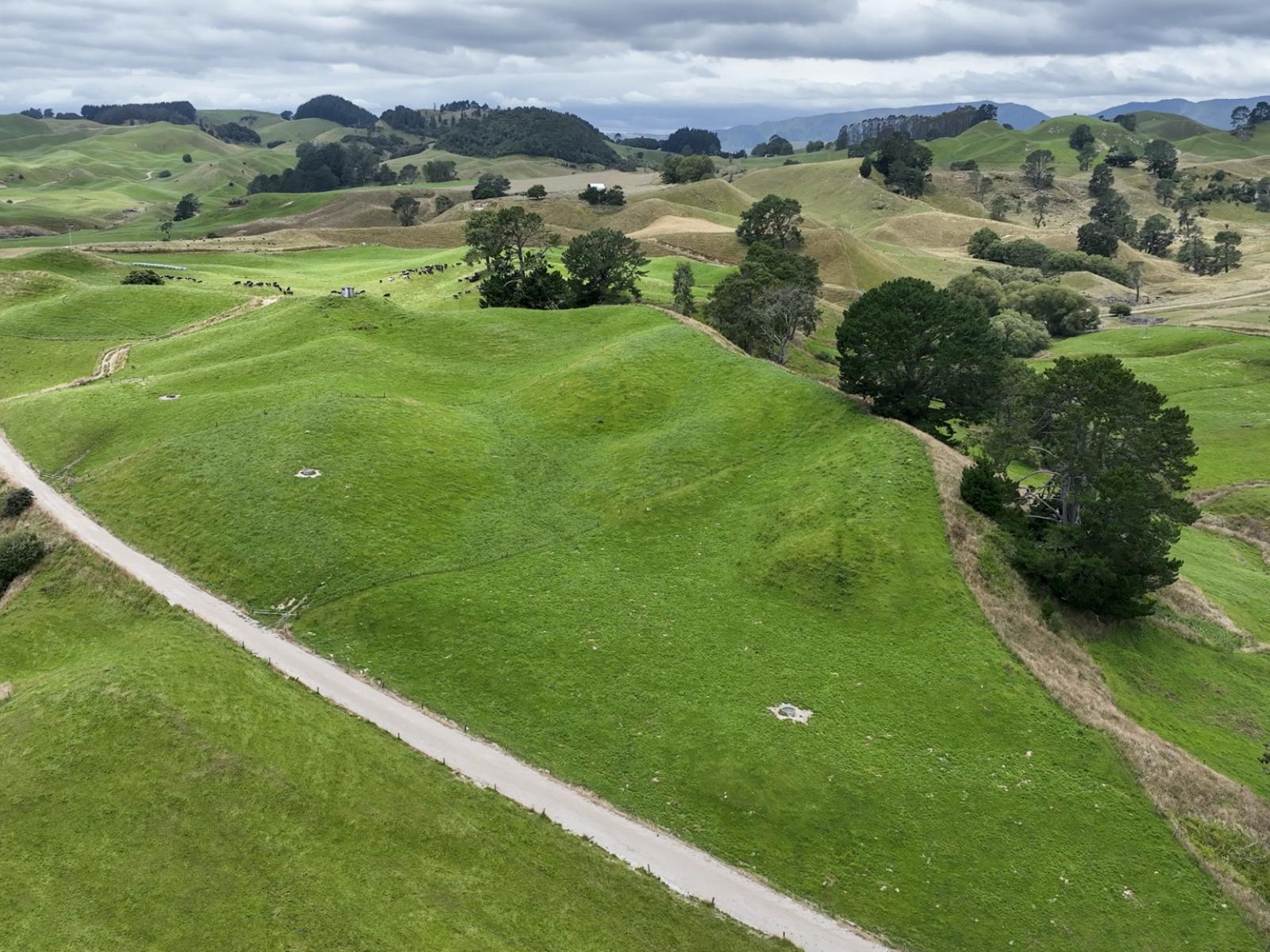 290 Parsons Road, Atiamuri