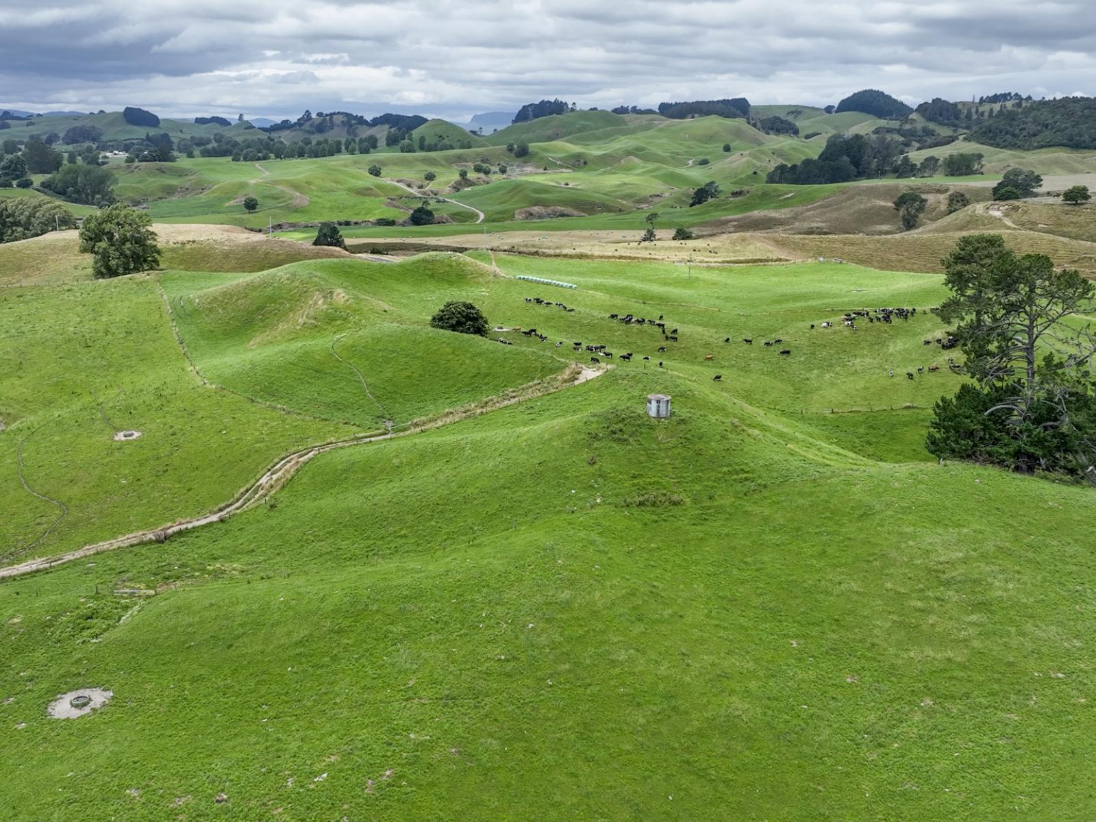 290 Parsons Road, Atiamuri