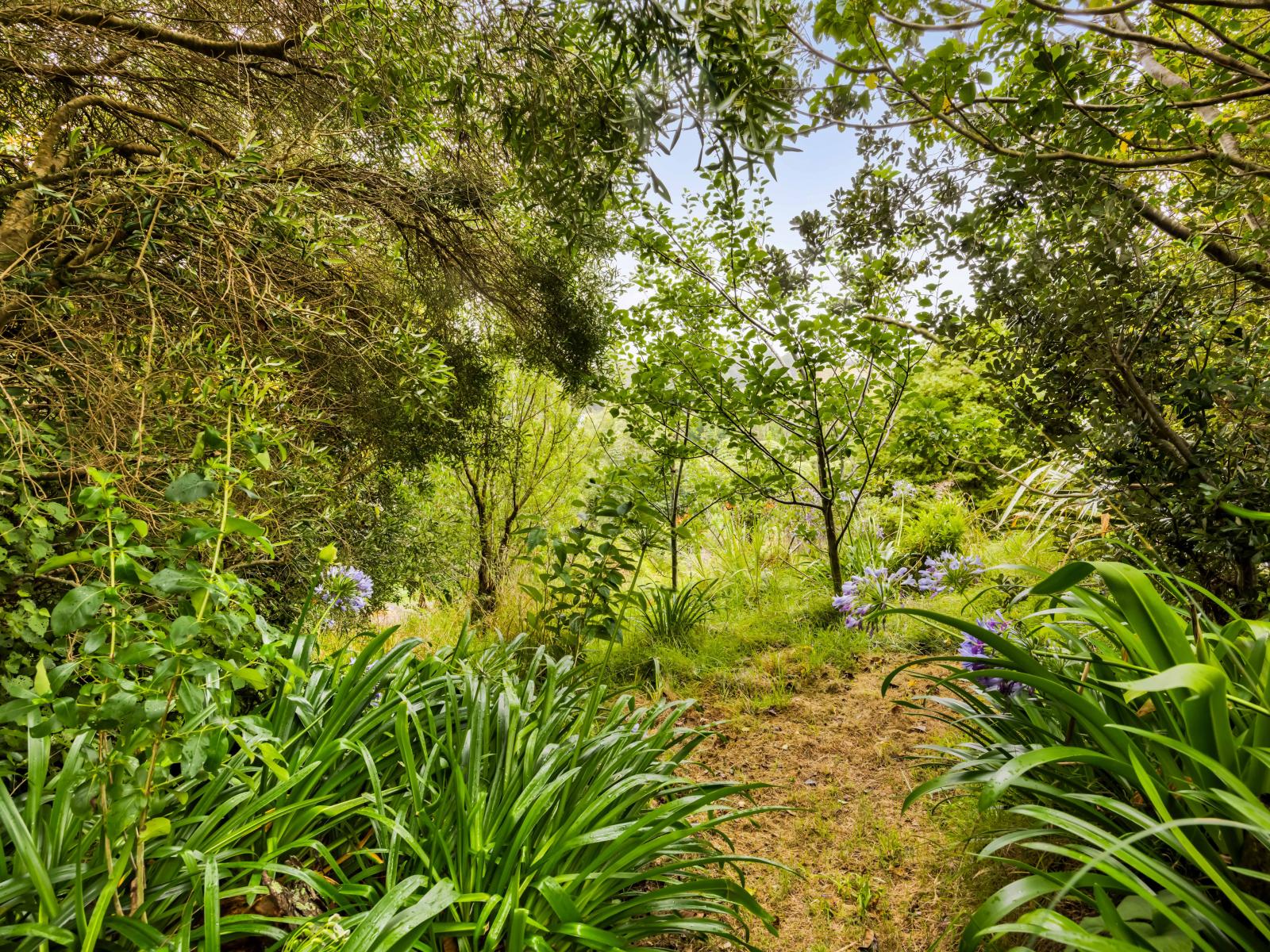 101 Ridgewood Drive, New Plymouth