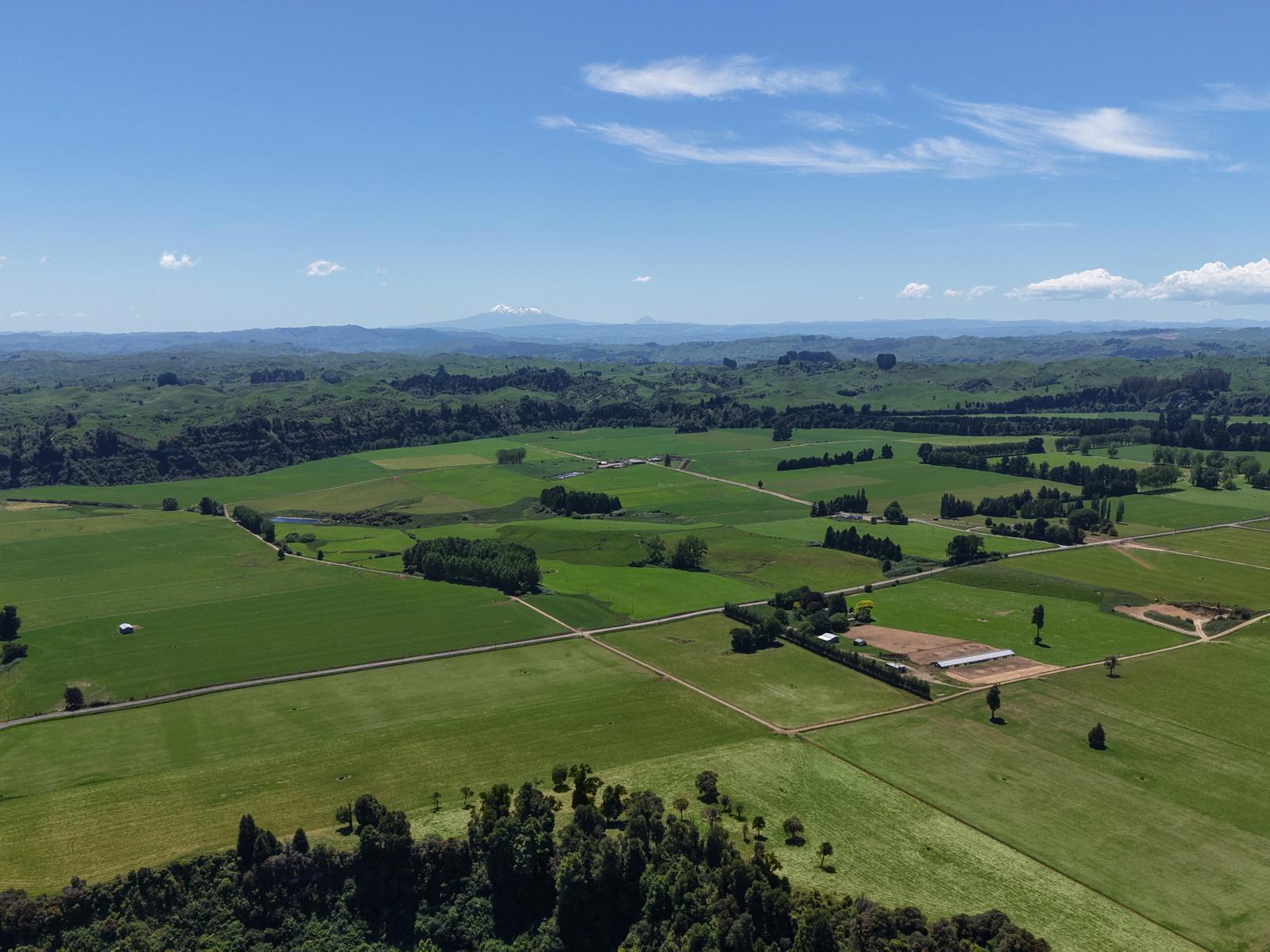 519 Main South Road, Rangiwahia