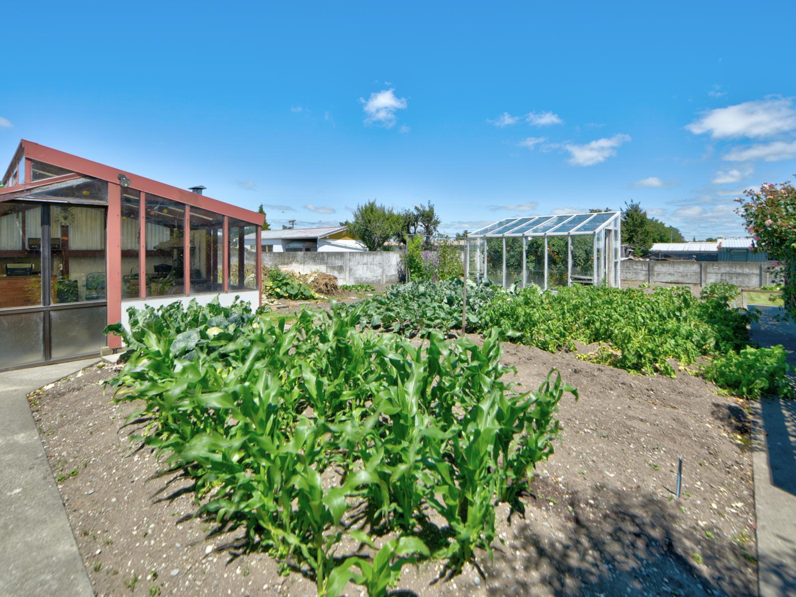 16 Oakland Street, Mataura