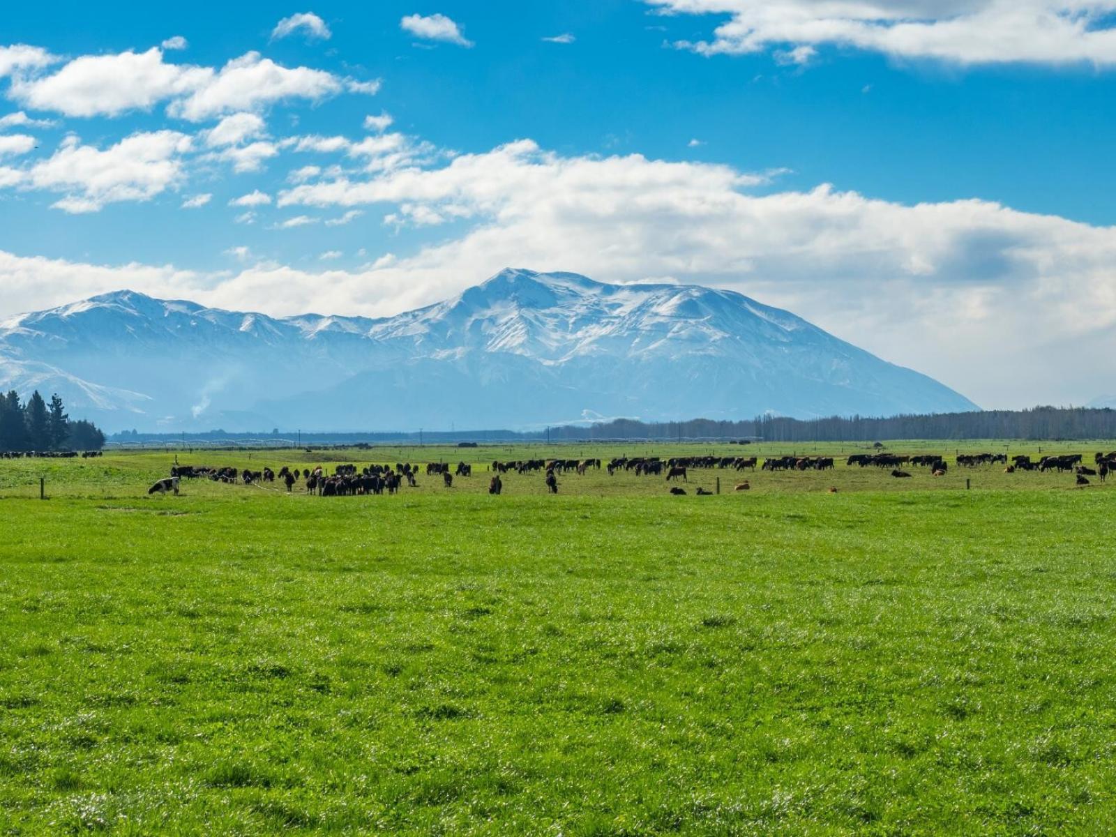 2058 Ashburton Staveley Road, Ashburton Forks