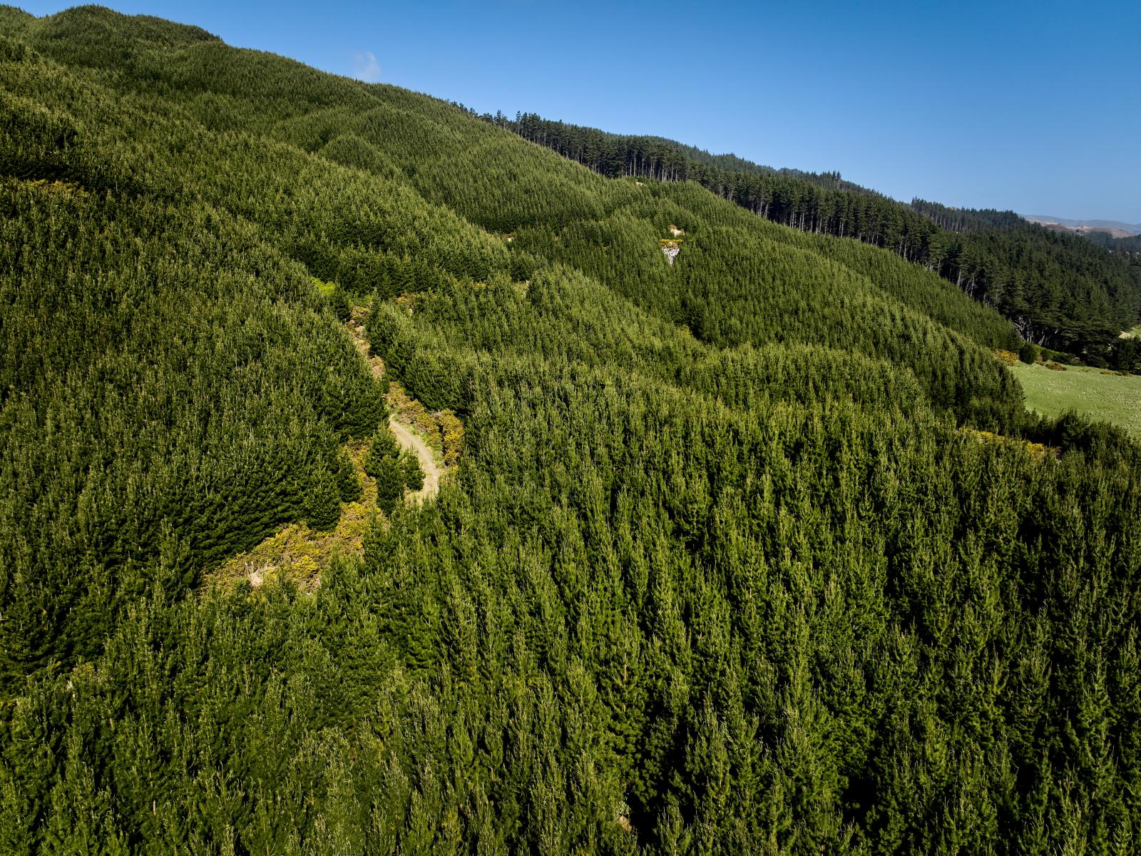 850F Paekakariki Hill Road, Paekakariki