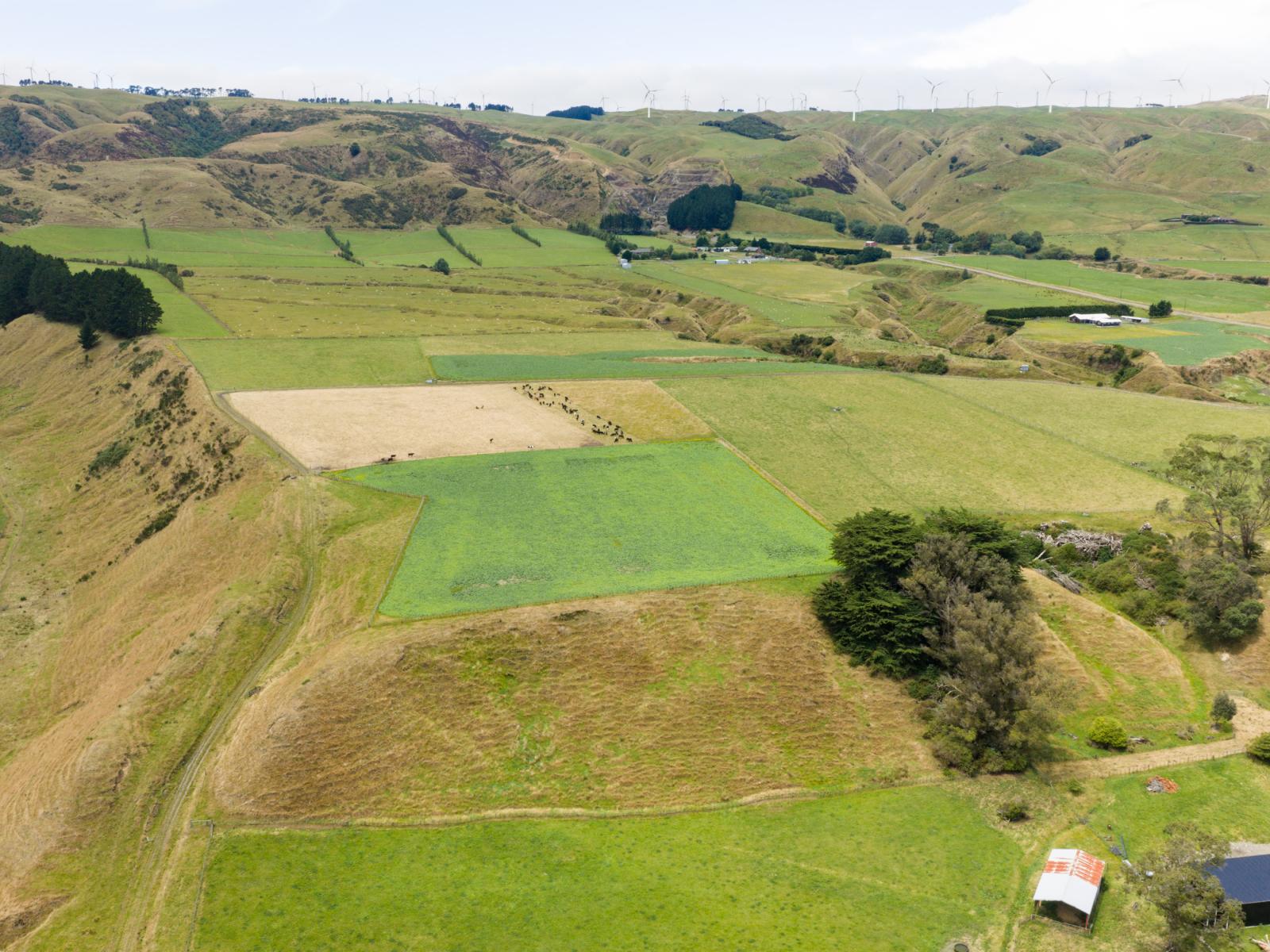 1068 Fitzherbert East Road, Aokautere