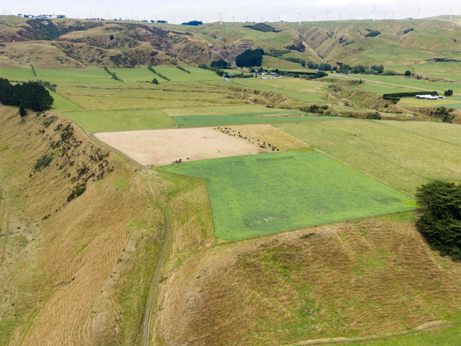 1068 Fitzherbert East Road, Aokautere