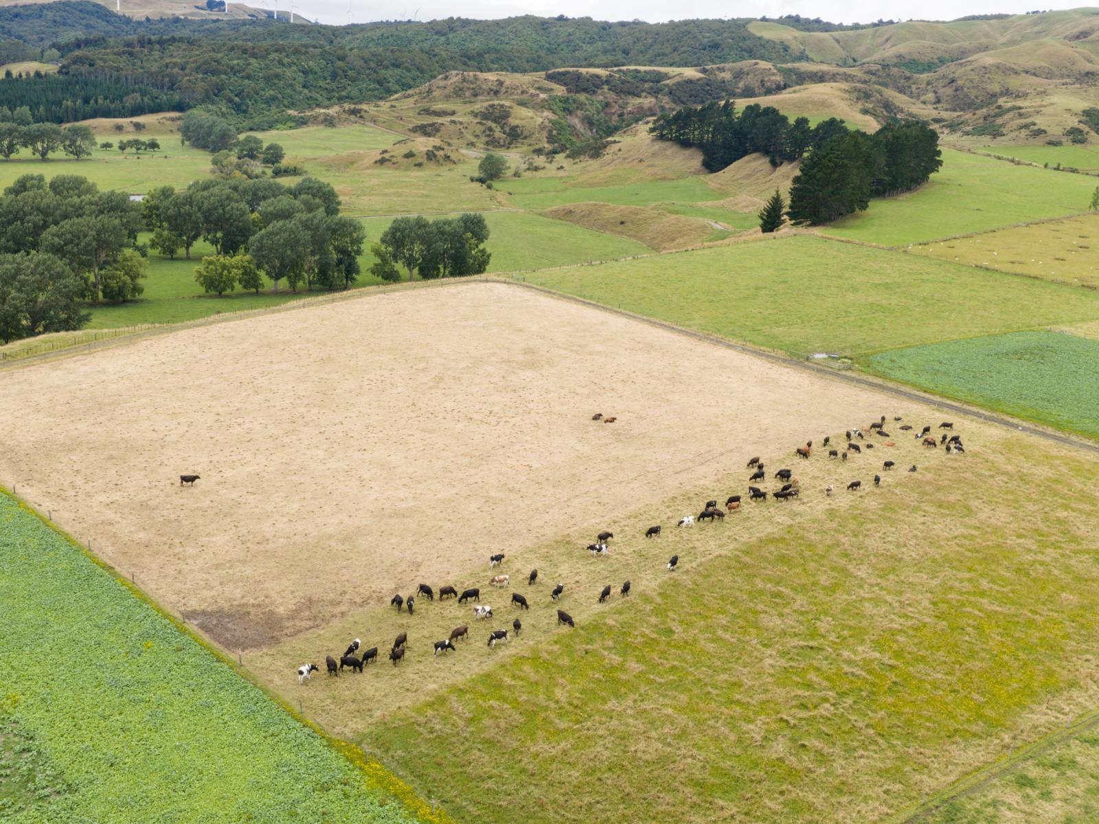 1068 Fitzherbert East Road, Aokautere