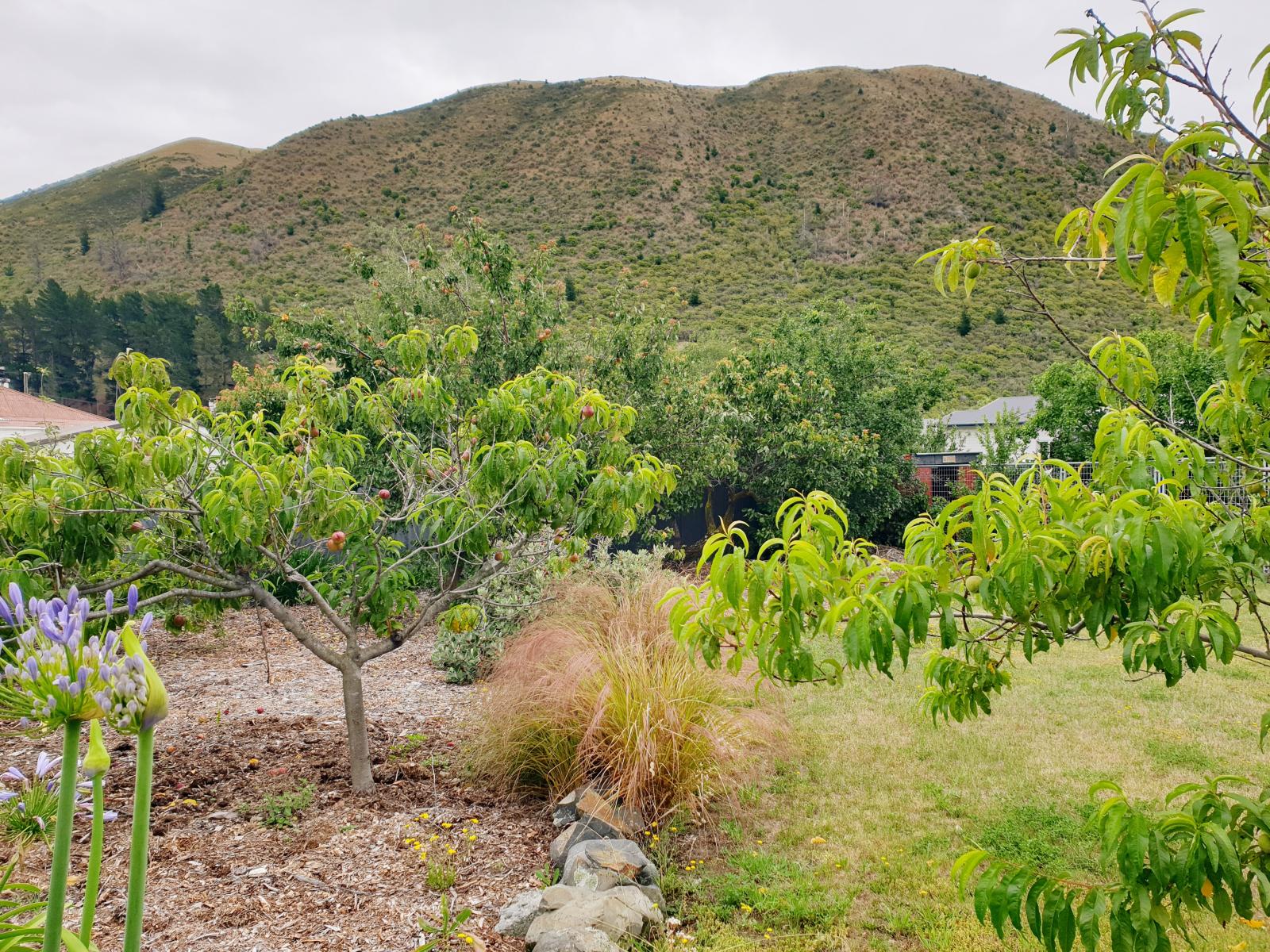 21 Gordon Street, Kurow