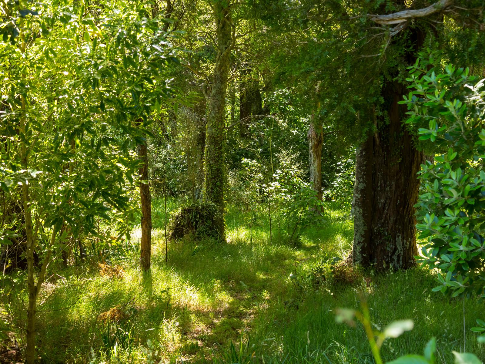 180 Underhill Road, Greytown