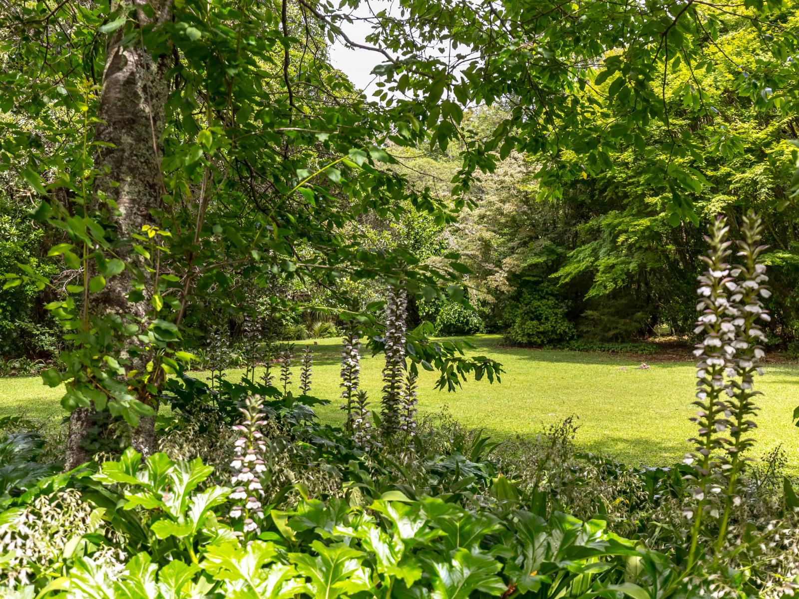 7 Homestead Lane, Greytown