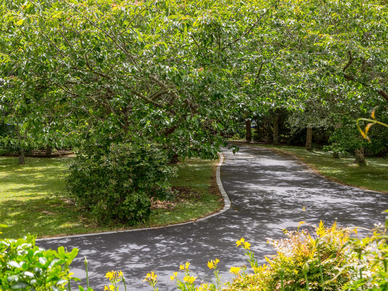 7 Homestead Lane, Greytown