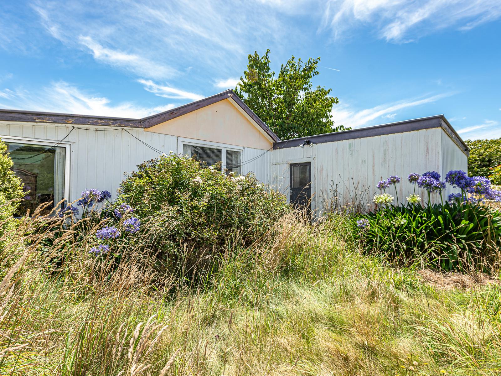 26 Brassey Street, Waverley