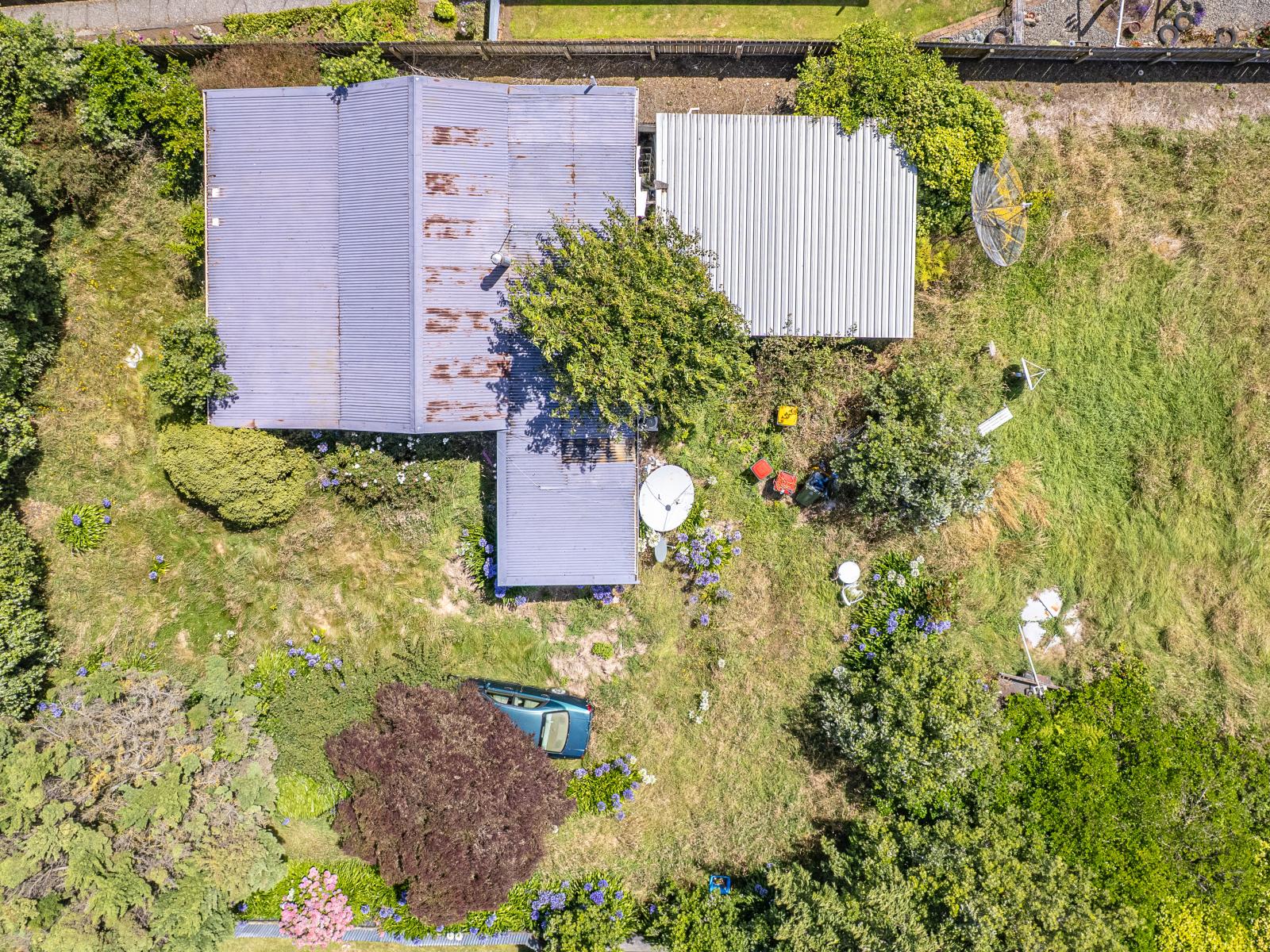 26 Brassey Street, Waverley