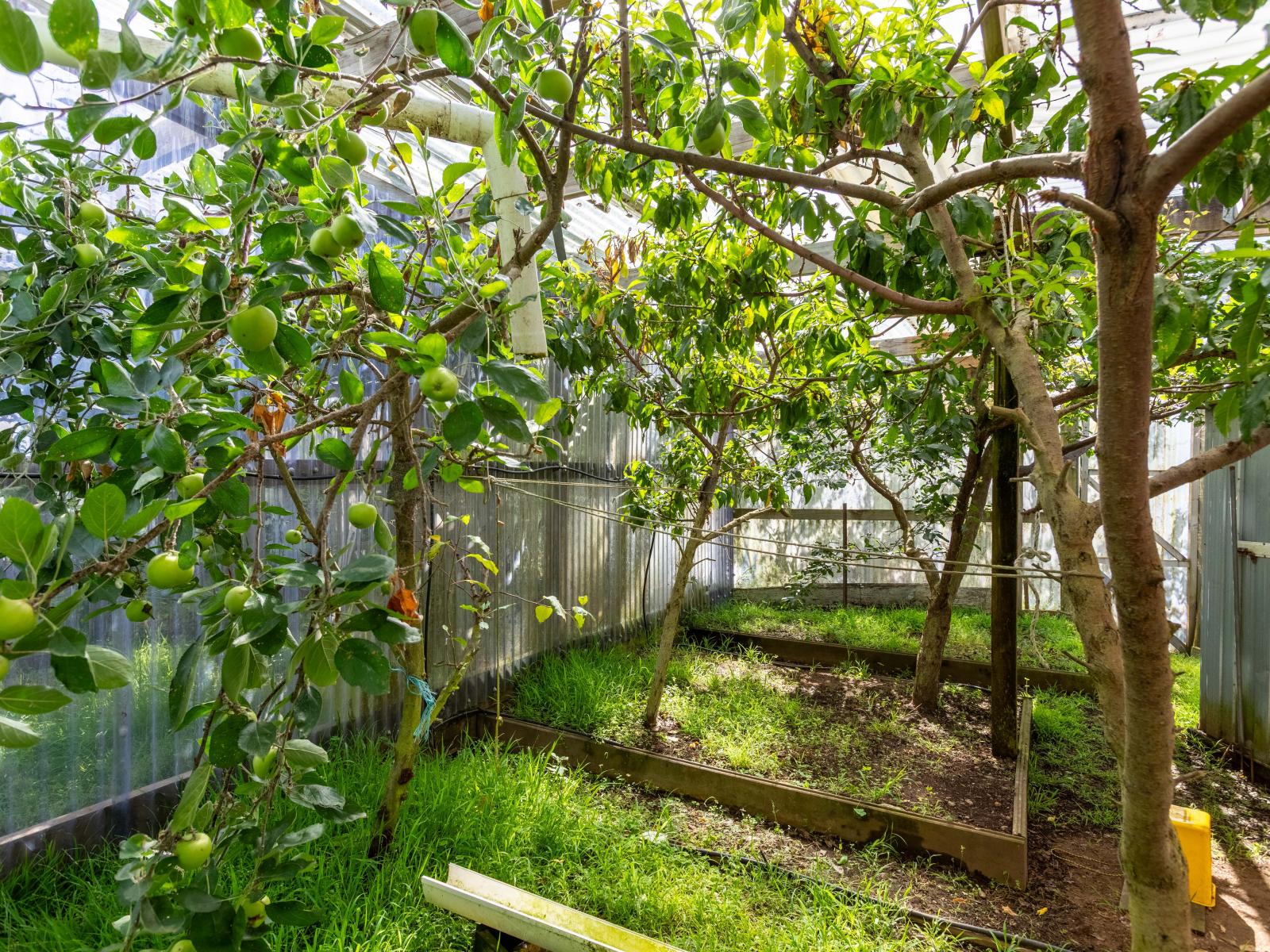 27 Robertshawe Crescent, Dannevirke