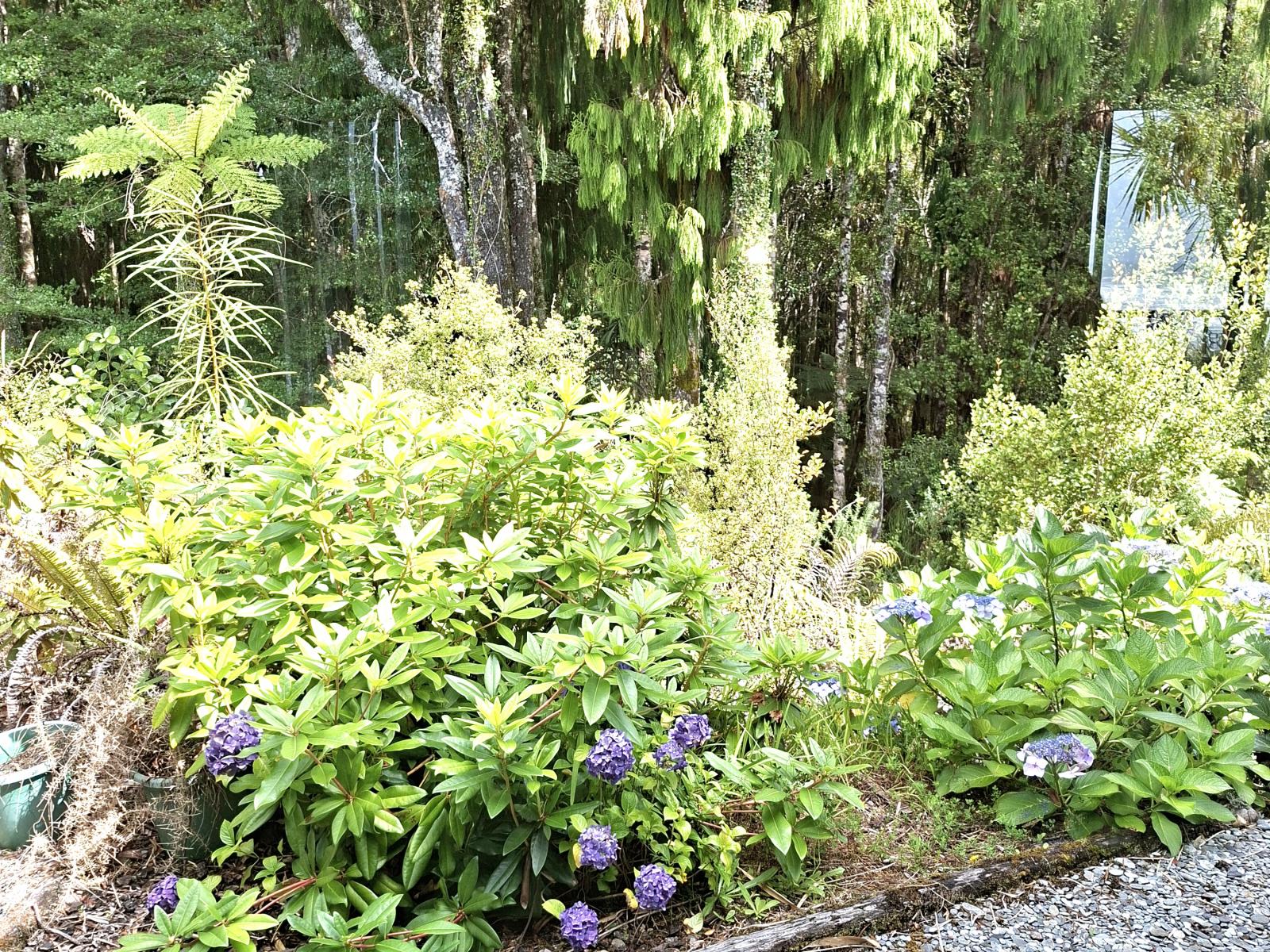 17 Fairburn Way, Charleston