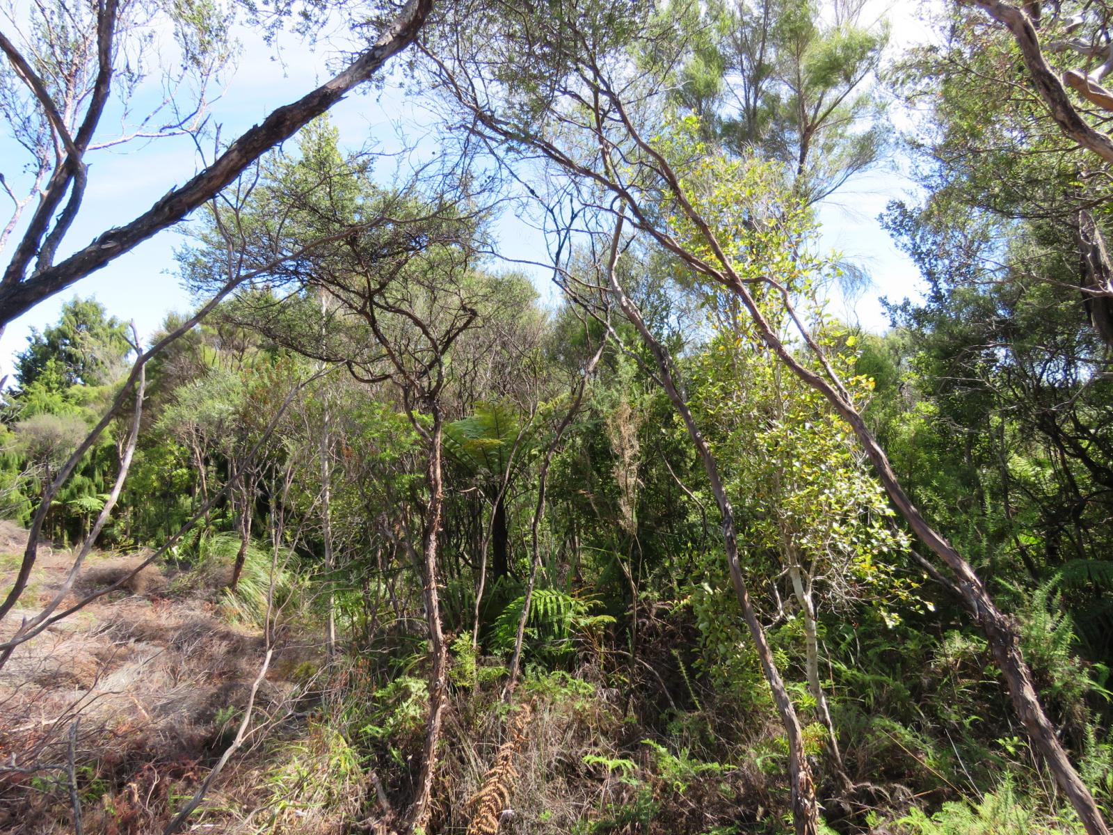 1022A Fairdown Road, Fairdown