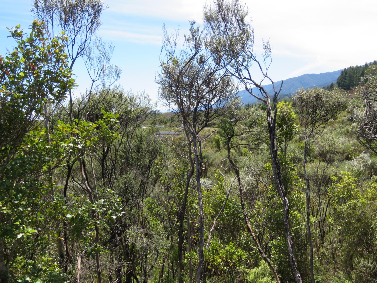 1022A Fairdown Road, Fairdown