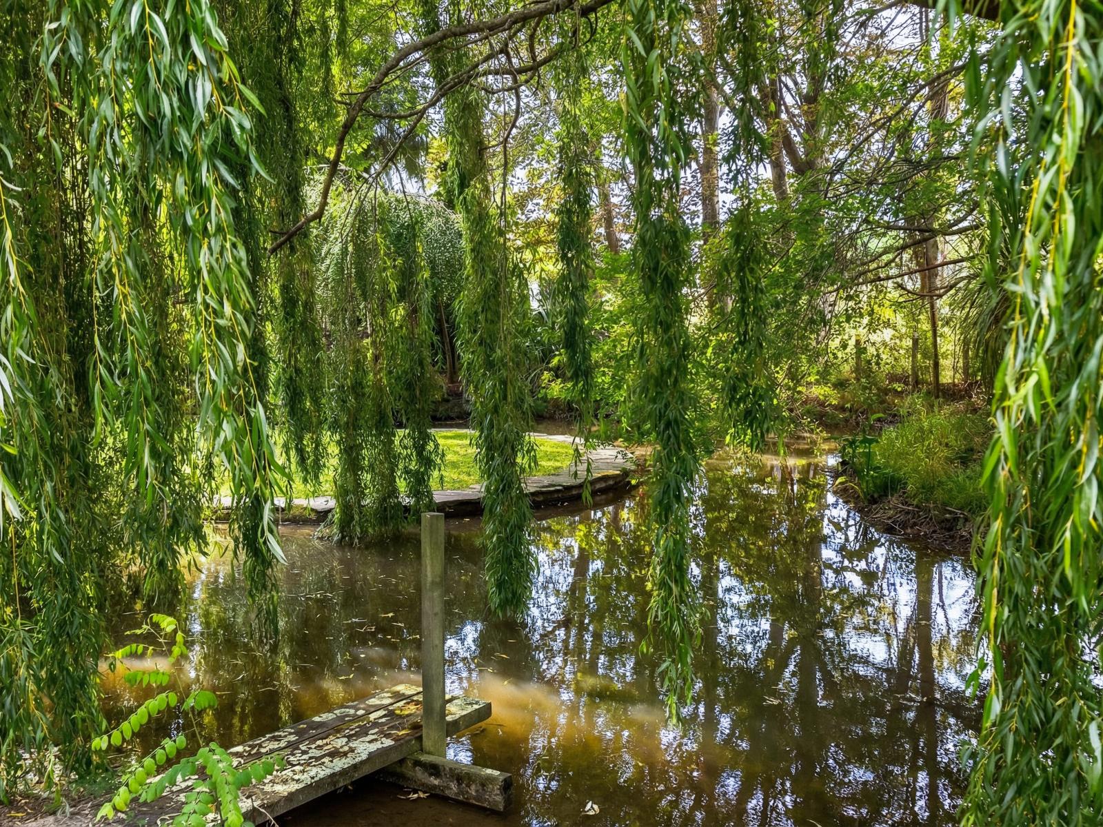 42 Kuratawhiti Street, Greytown