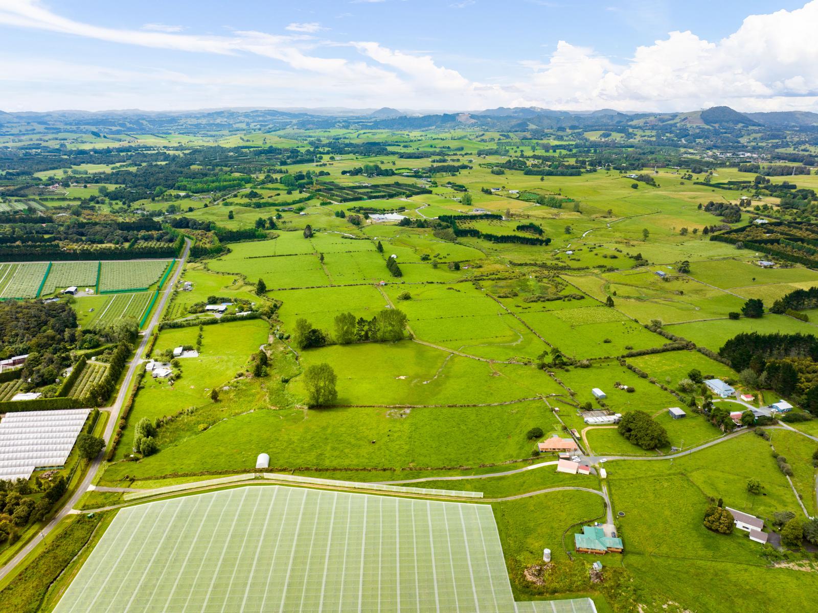 54 Tatton Road, Maungatapere